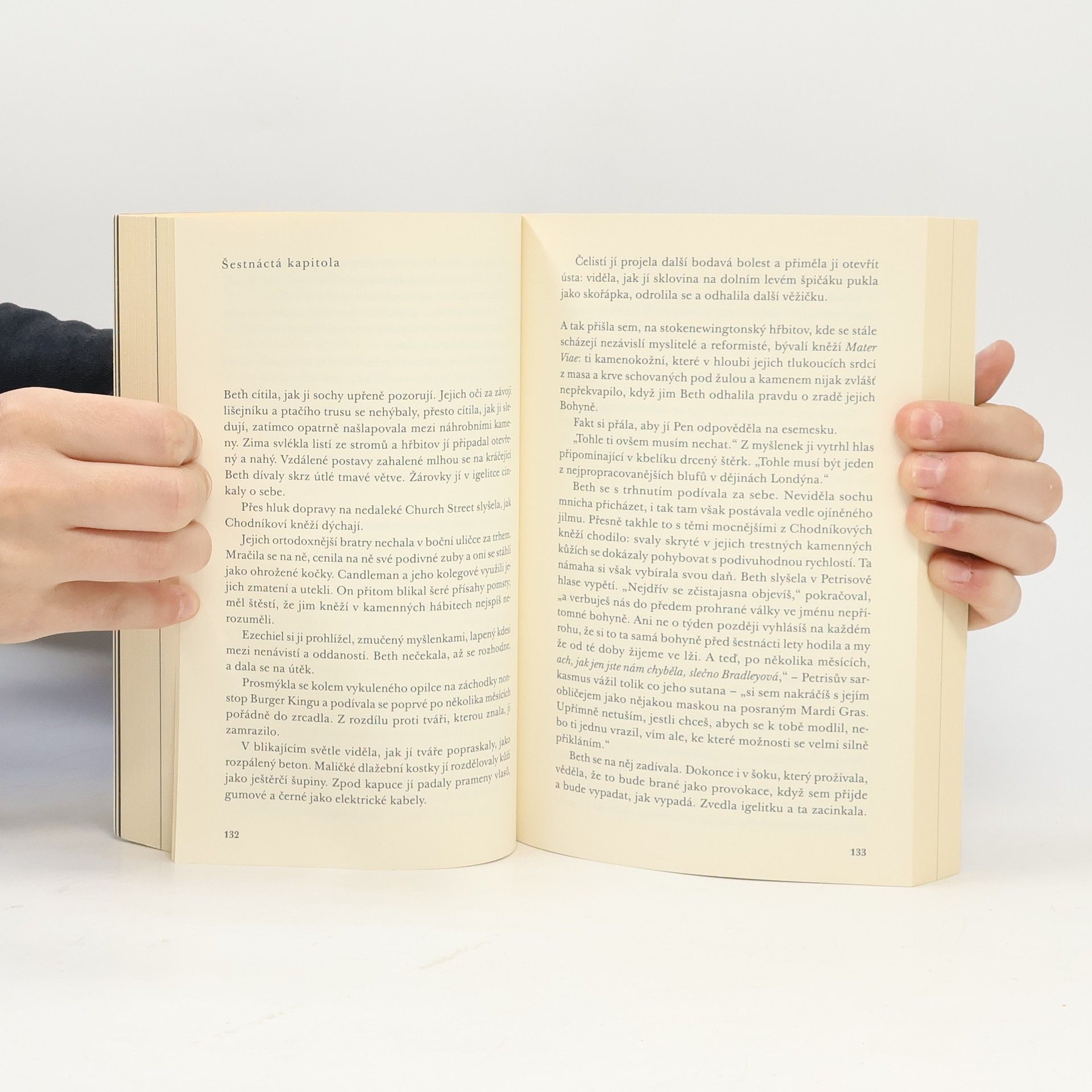Tom H. Pollock Mrakodrapový trůn. 2, Skleněná republika