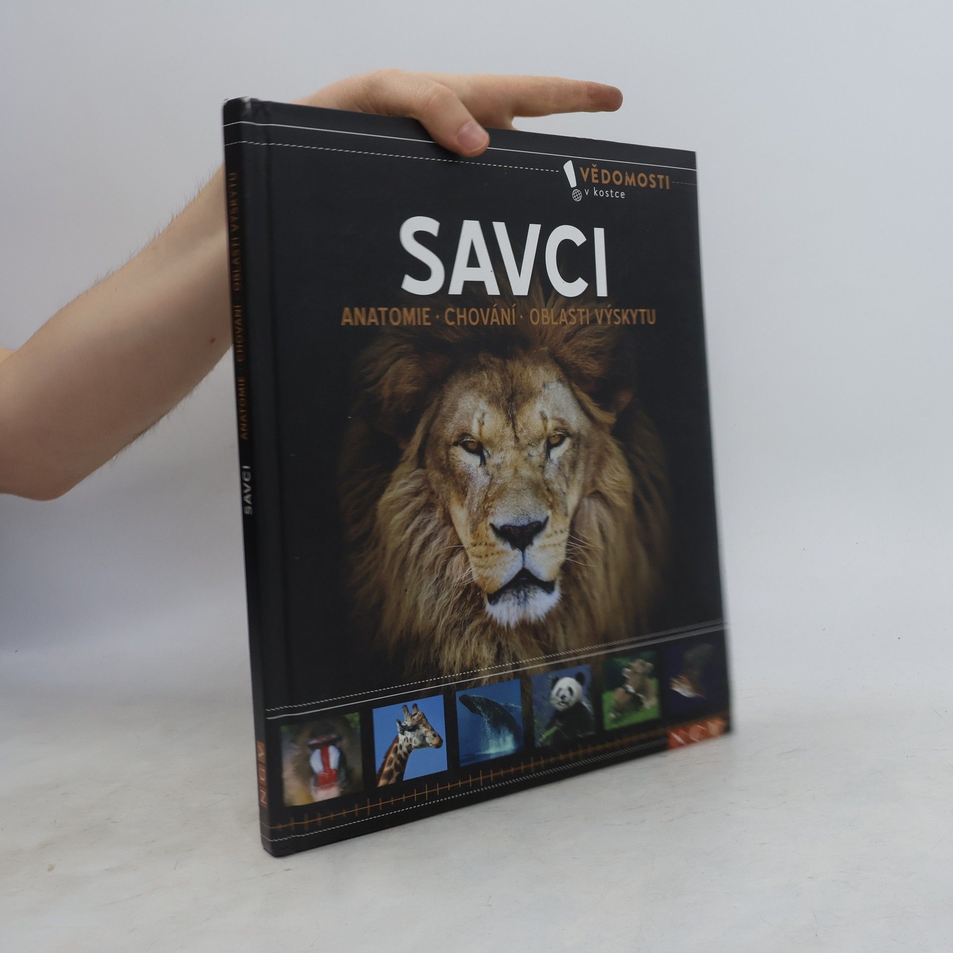 Savci