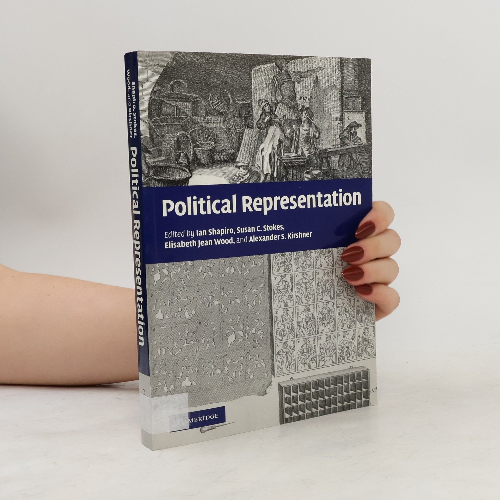 Elisabeth Jean Wood Political Representation