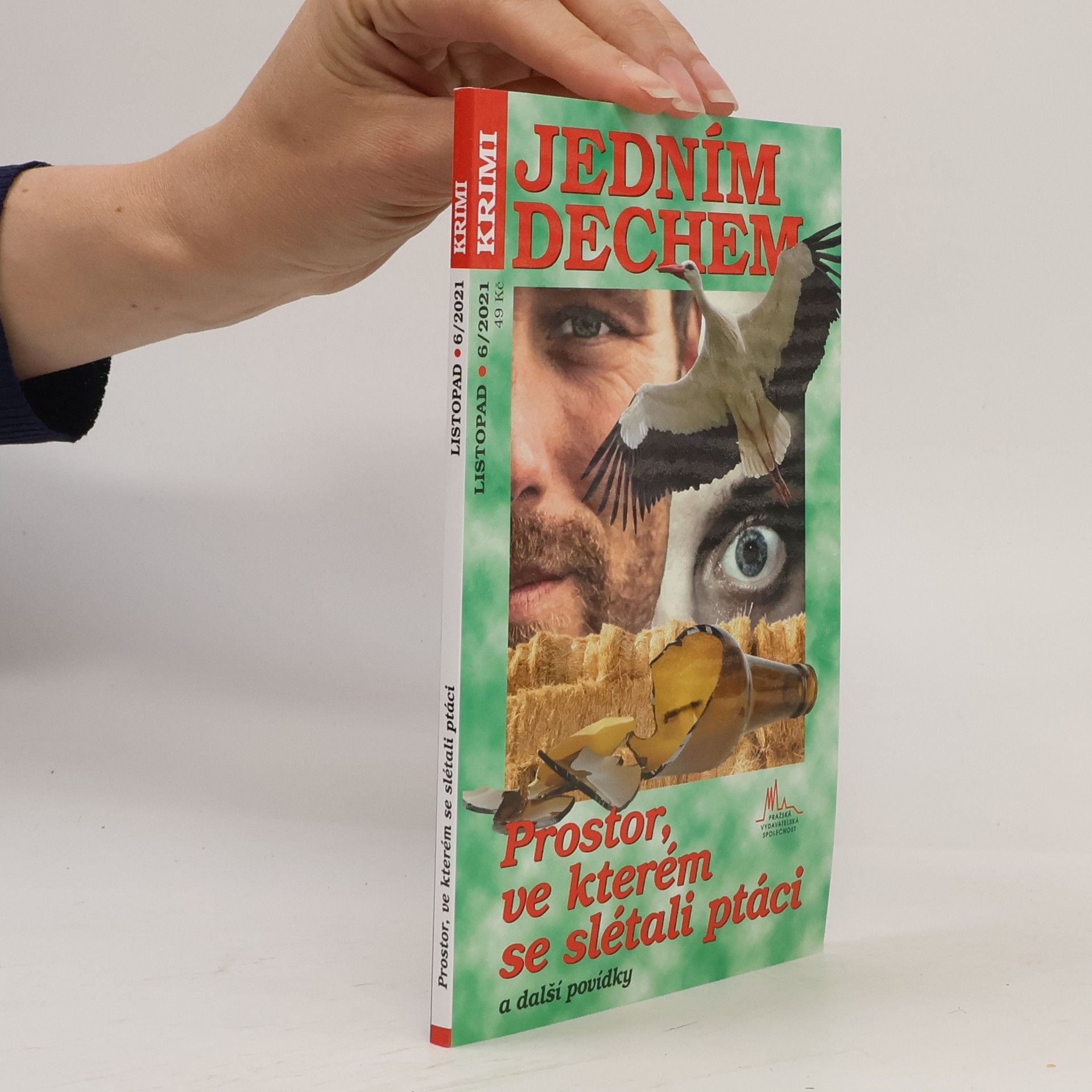 Kolektiv autorů Jedním dechem 11/2021. Prostor, ve kterém se slétali ptáci a další krimi povídky