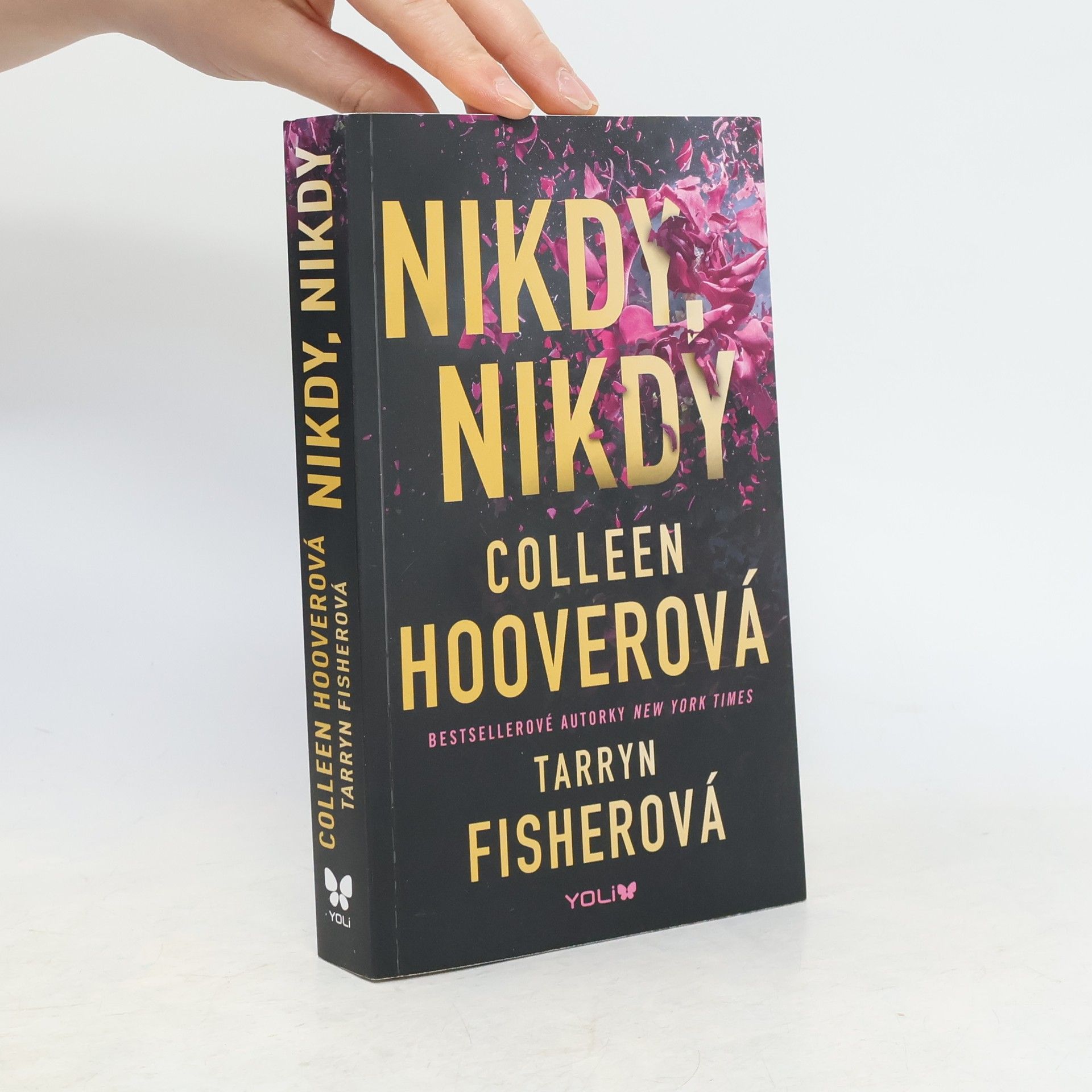 Colleen Hoover Nikdy, nikdy
