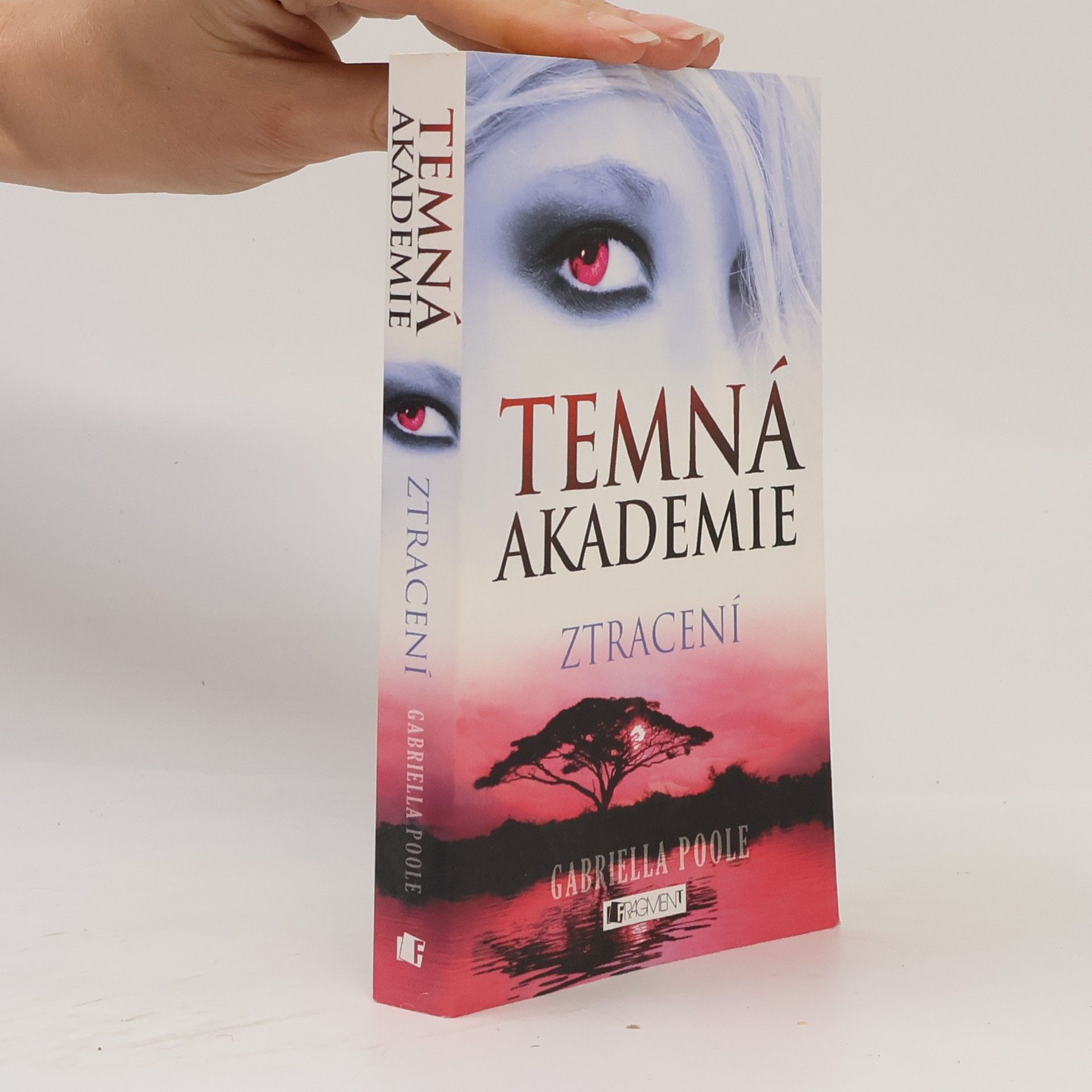 Temná akademie. Ztracení