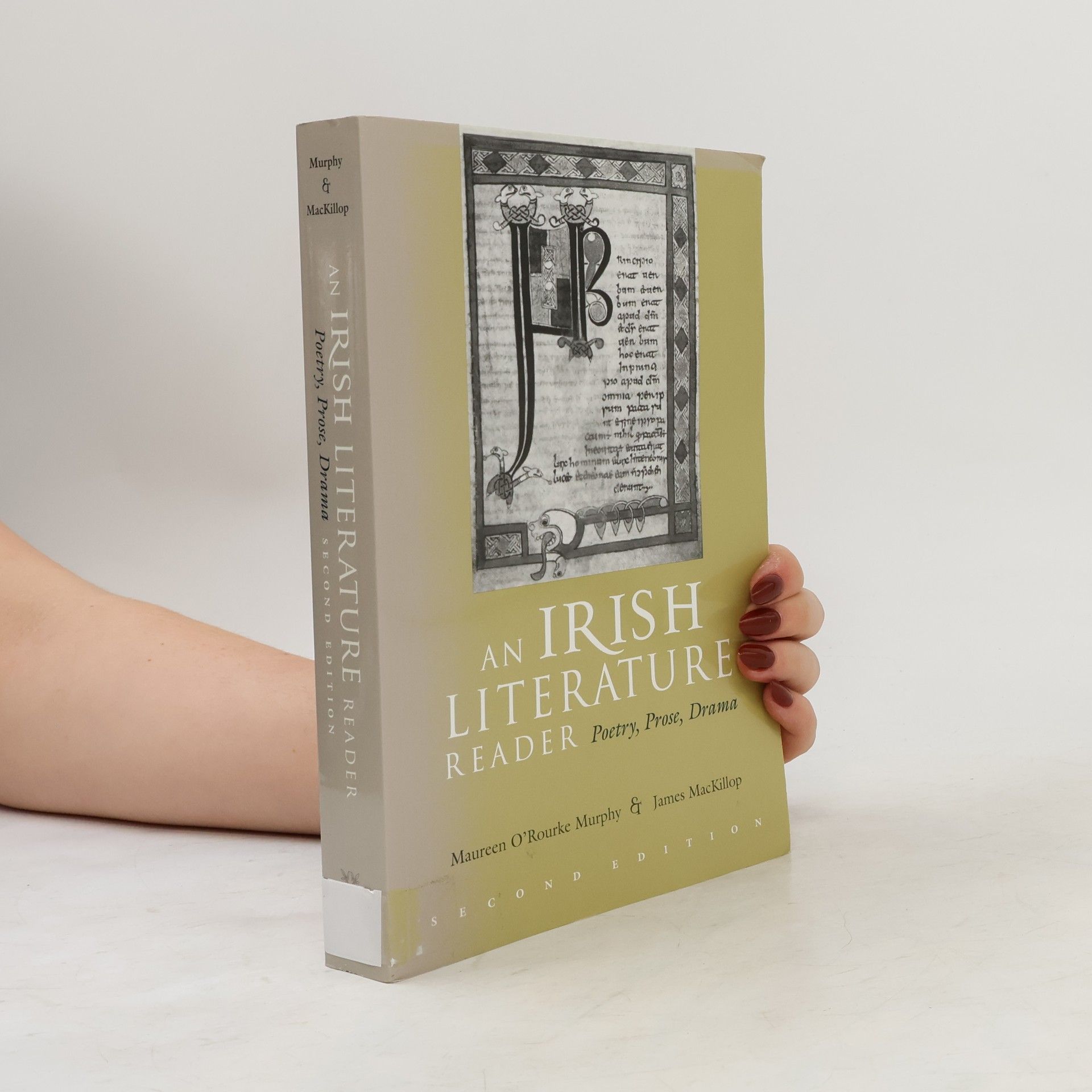 Maureen O'Rourke Murphy An Irish Literature Reader