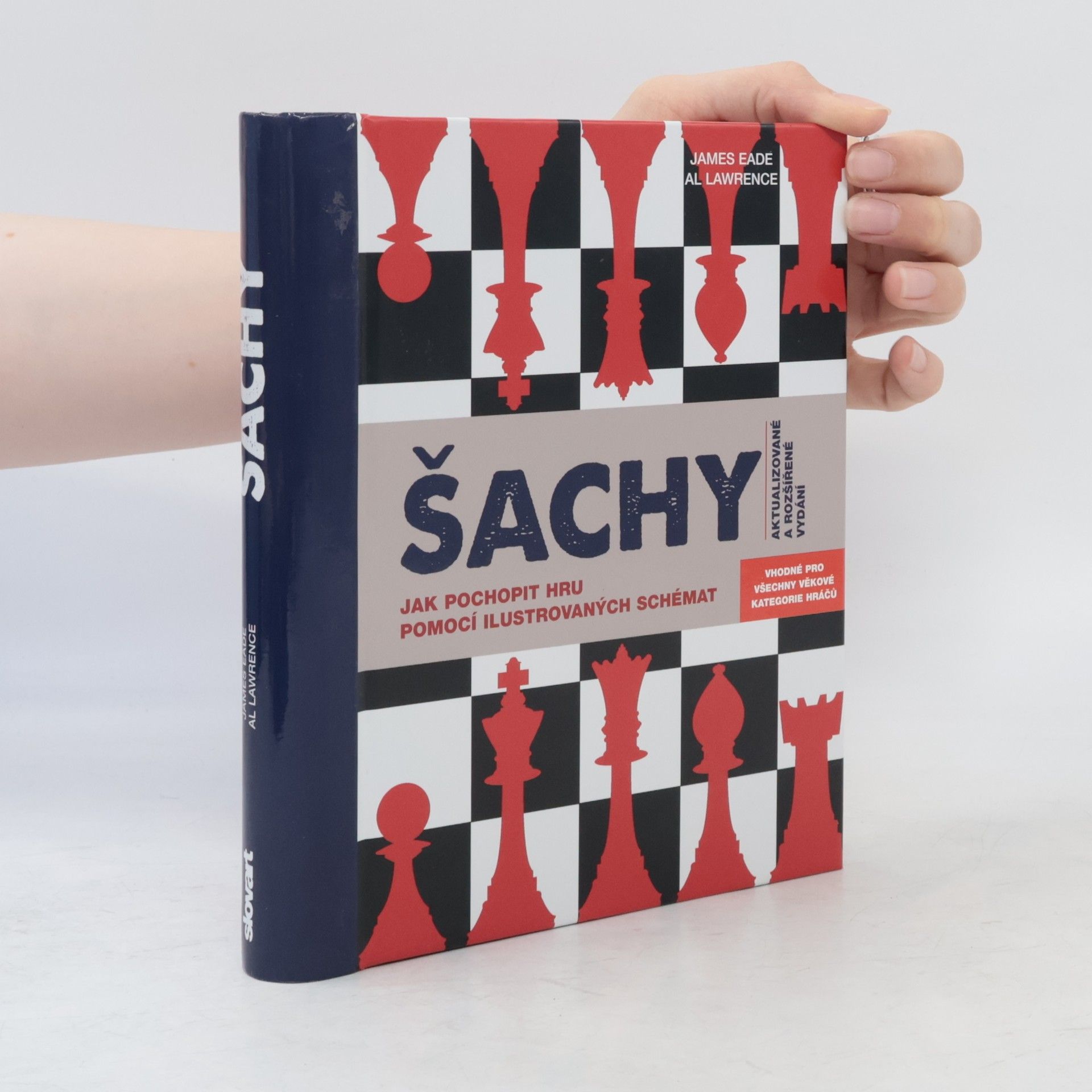 Šachy: Jak pochopit hru pomocí ilustrovaných schémat