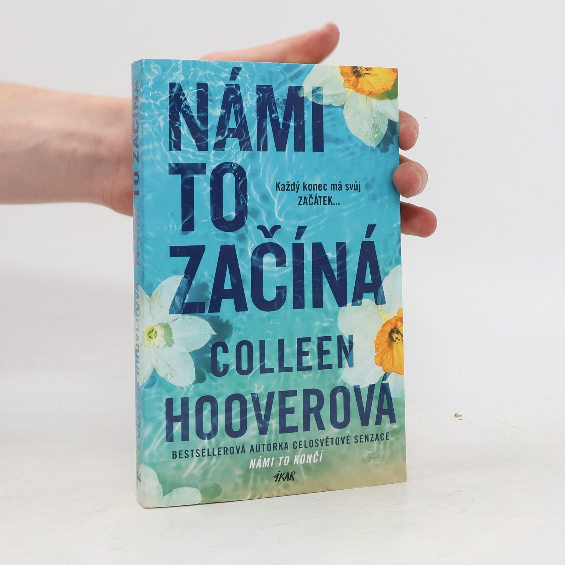 Colleen Hoover Námi to začíná
