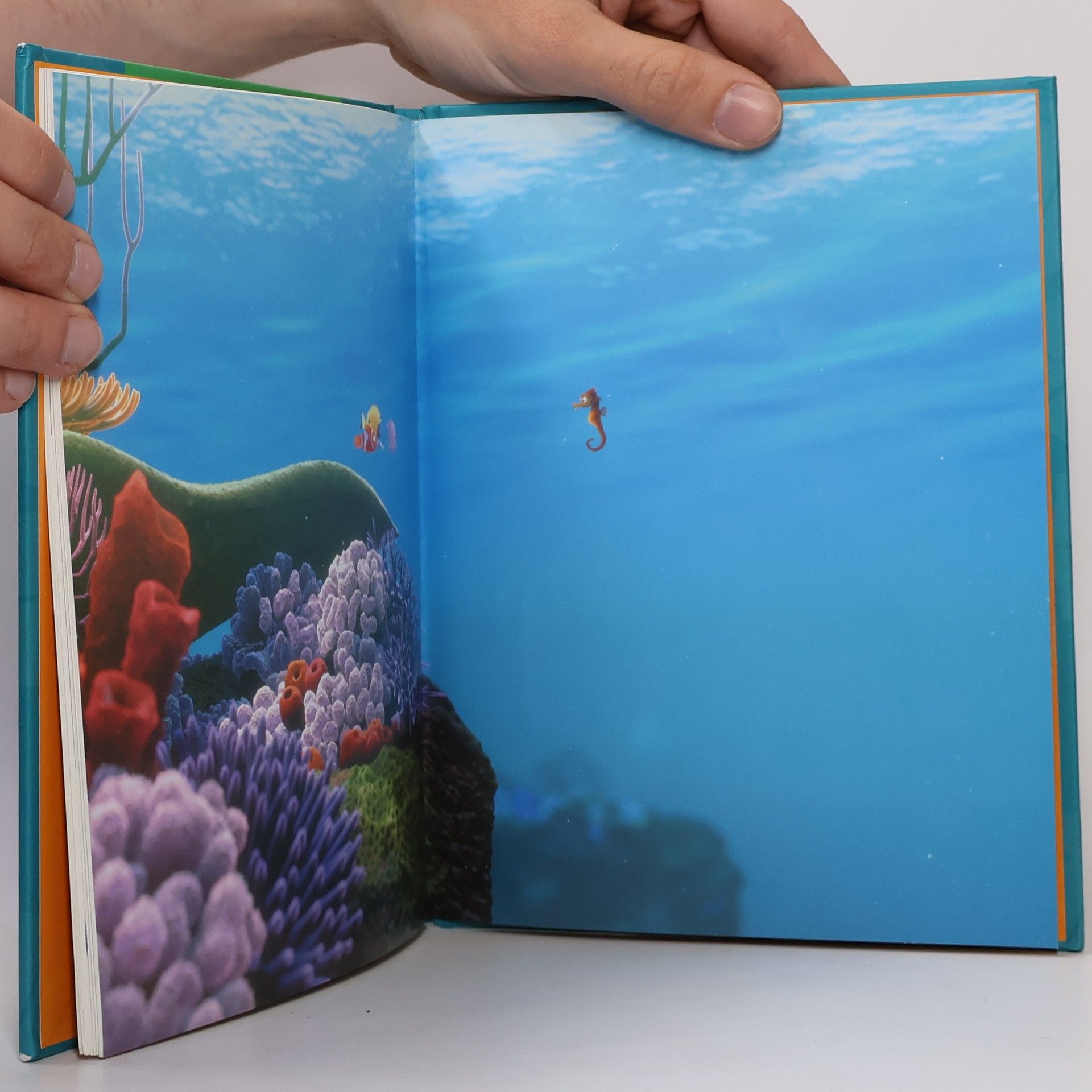 Autorenkollektiv Findet Nemo