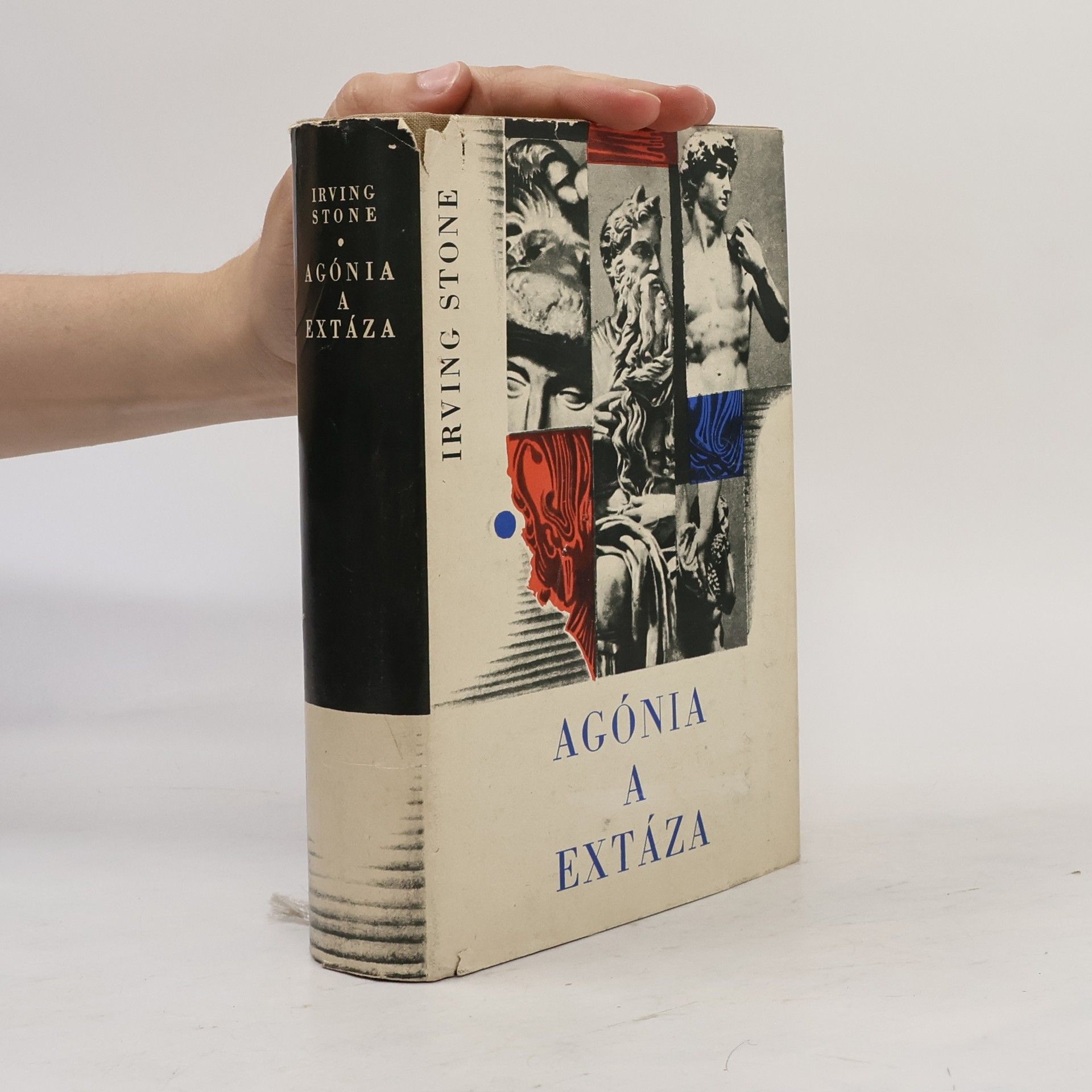 Irving Stone Agónia a extáza
