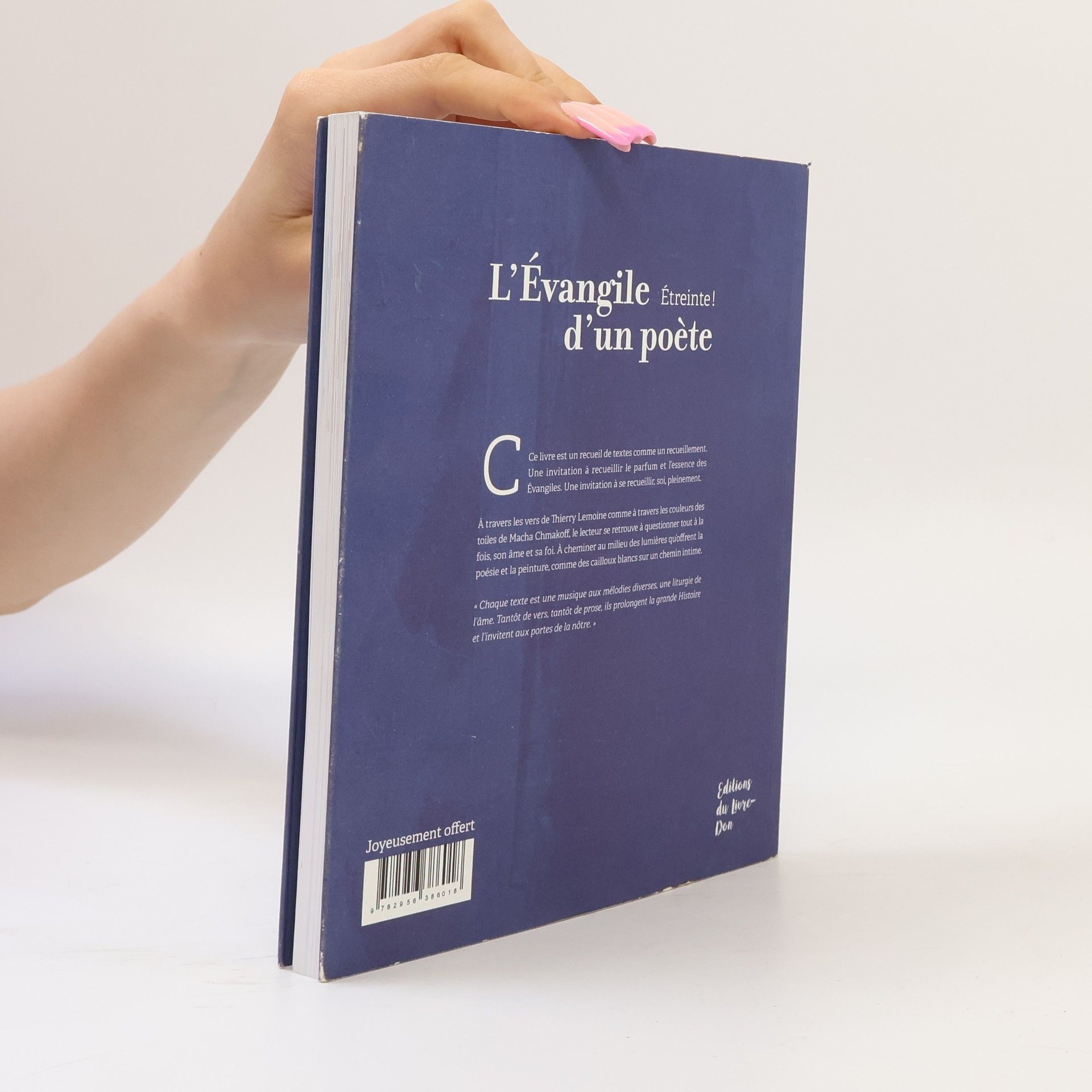 Thierry Lemoine L'évangile d'un poète