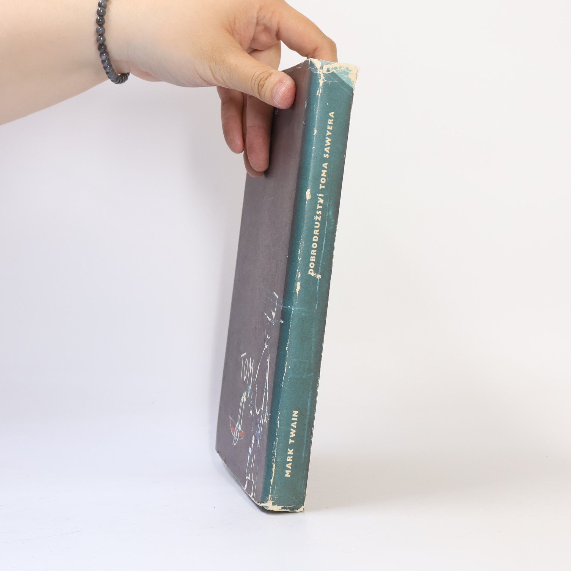 Mark Twain Dobrodružství Toma Sawyera