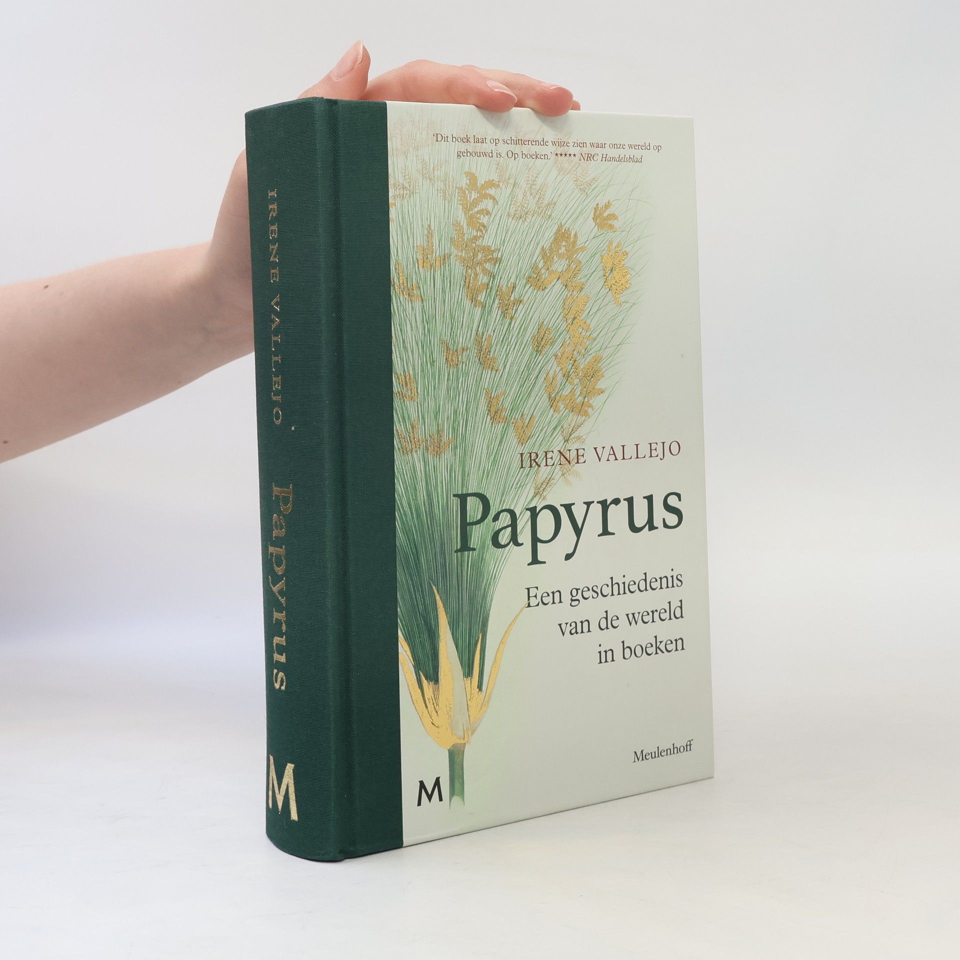 Irene Vallejo Papyrus