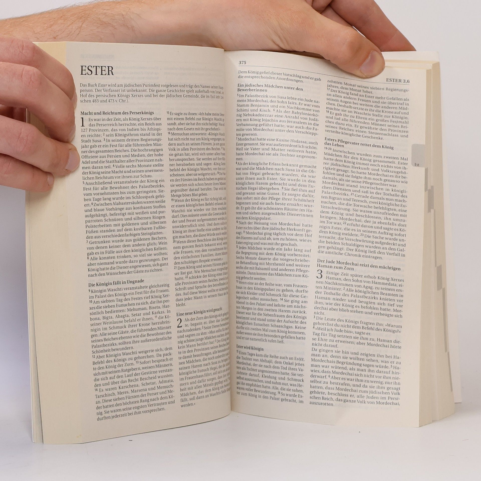 Various authors Die Bibel