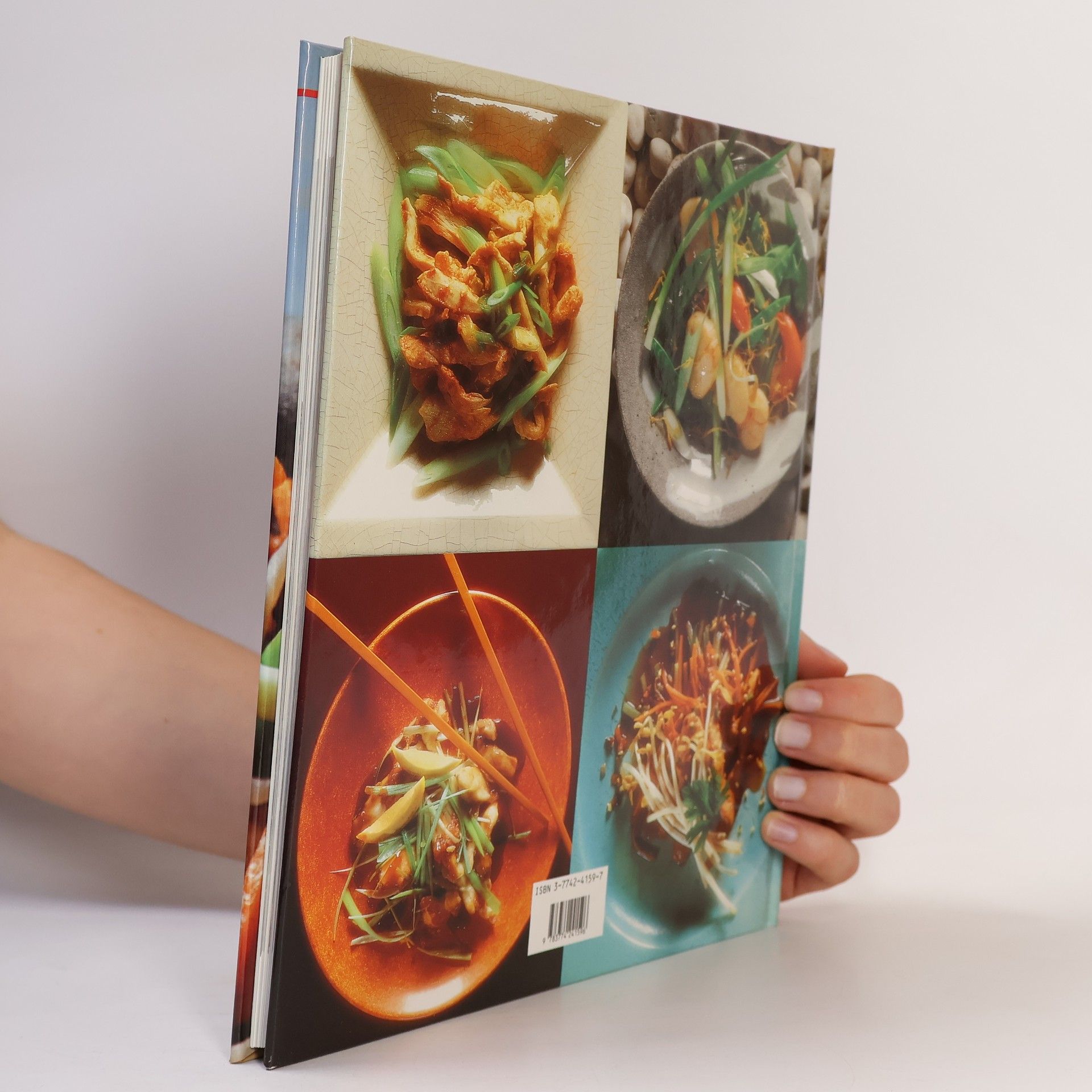 David-Lee Tessmer Schnelle Gerichte aus dem Wok