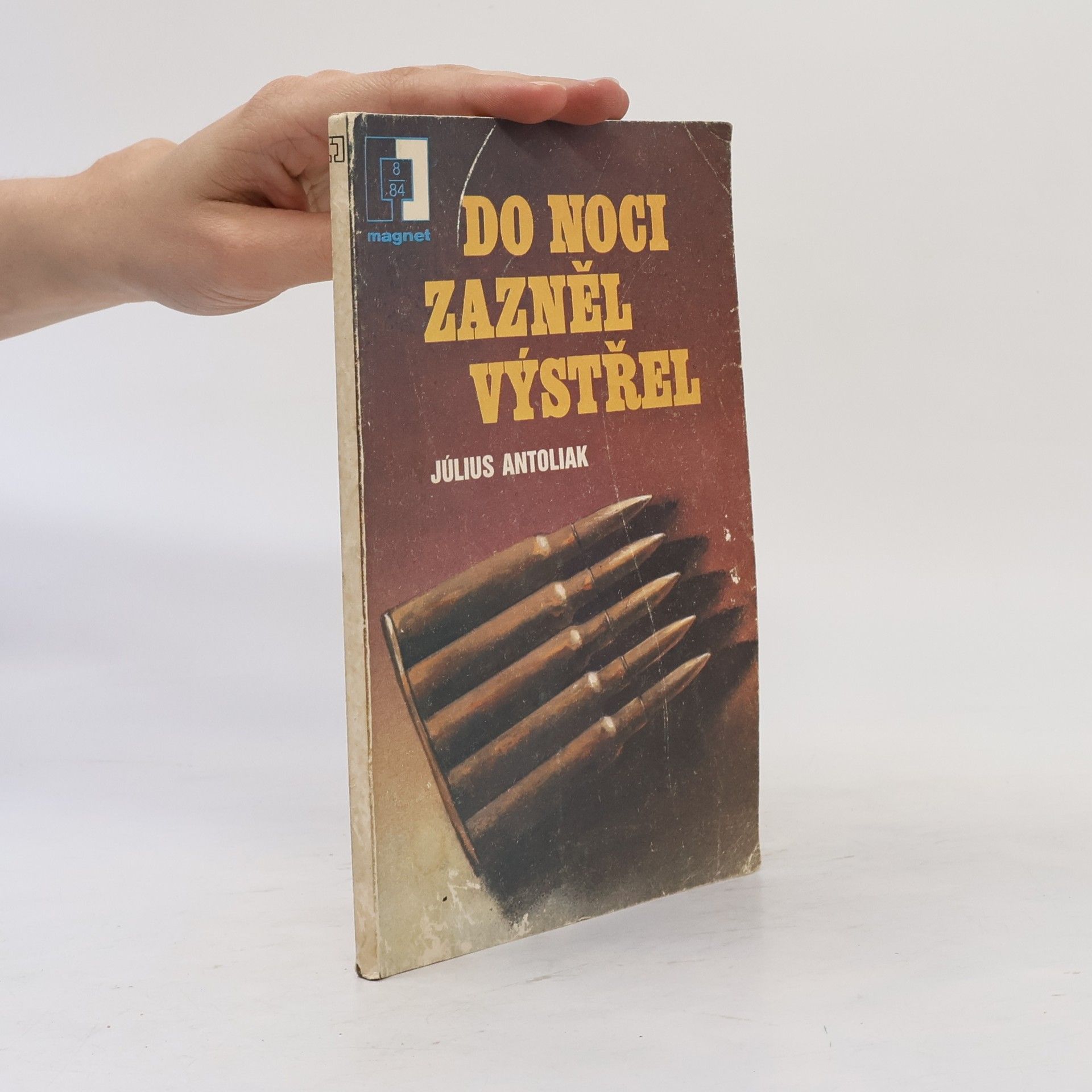 Do noci zazněl výstřel
