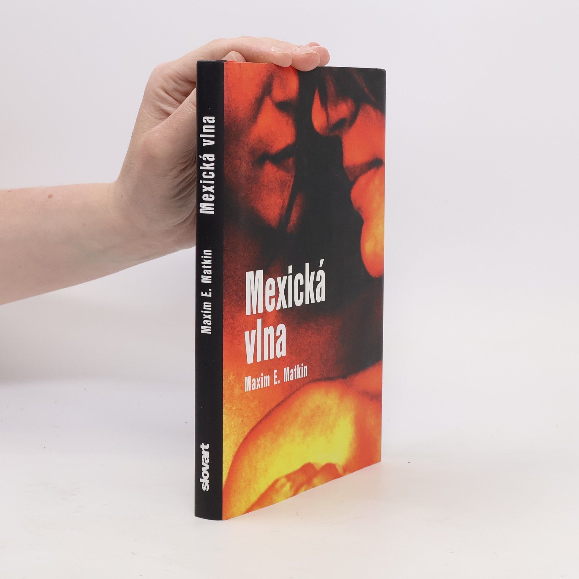 Maxim E. Matkin Mexická vlna