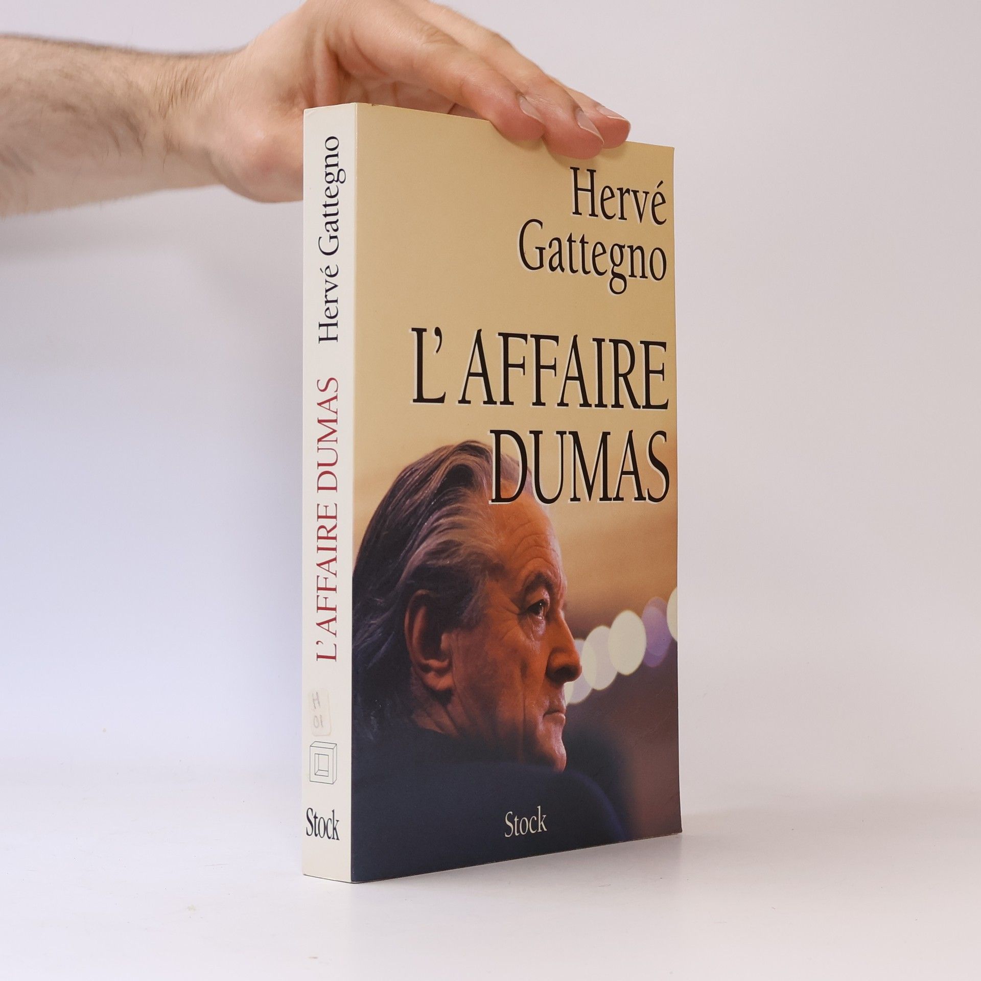 Hervé Gattegno L'affaire Dumas