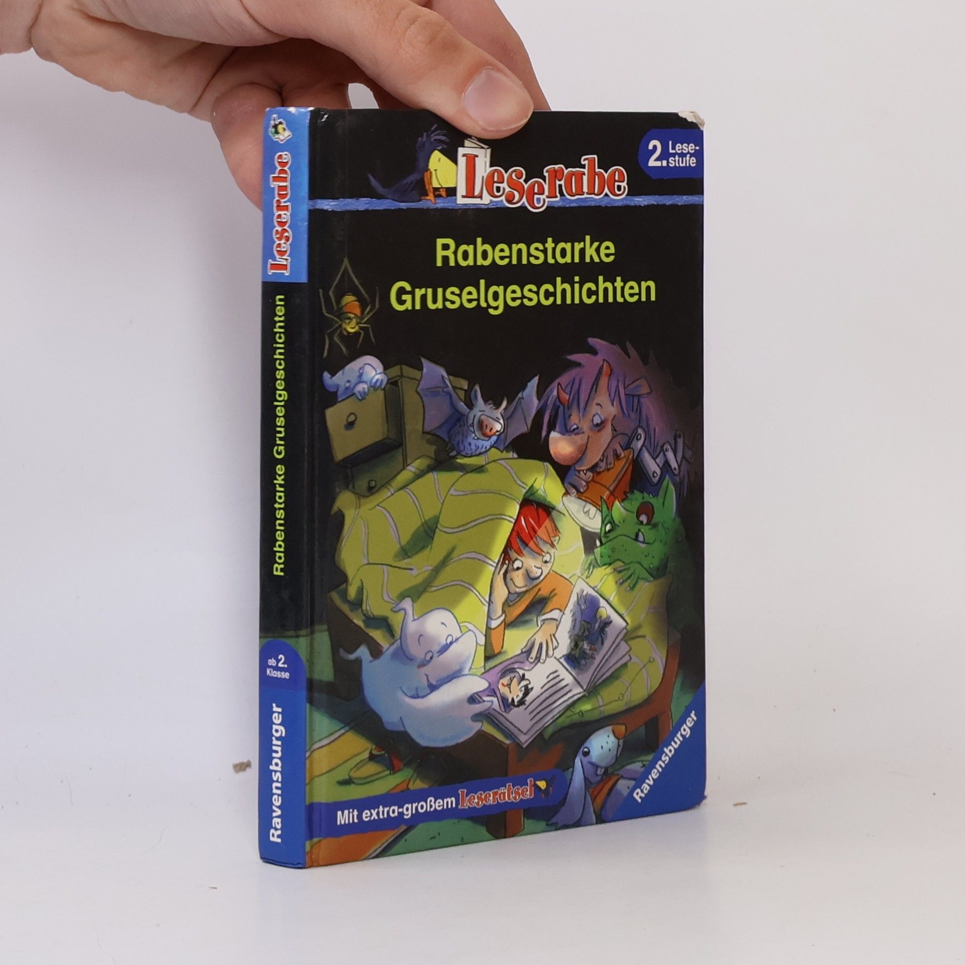 Heidemarie Brosche Rabenstarke Gruselgeschichten