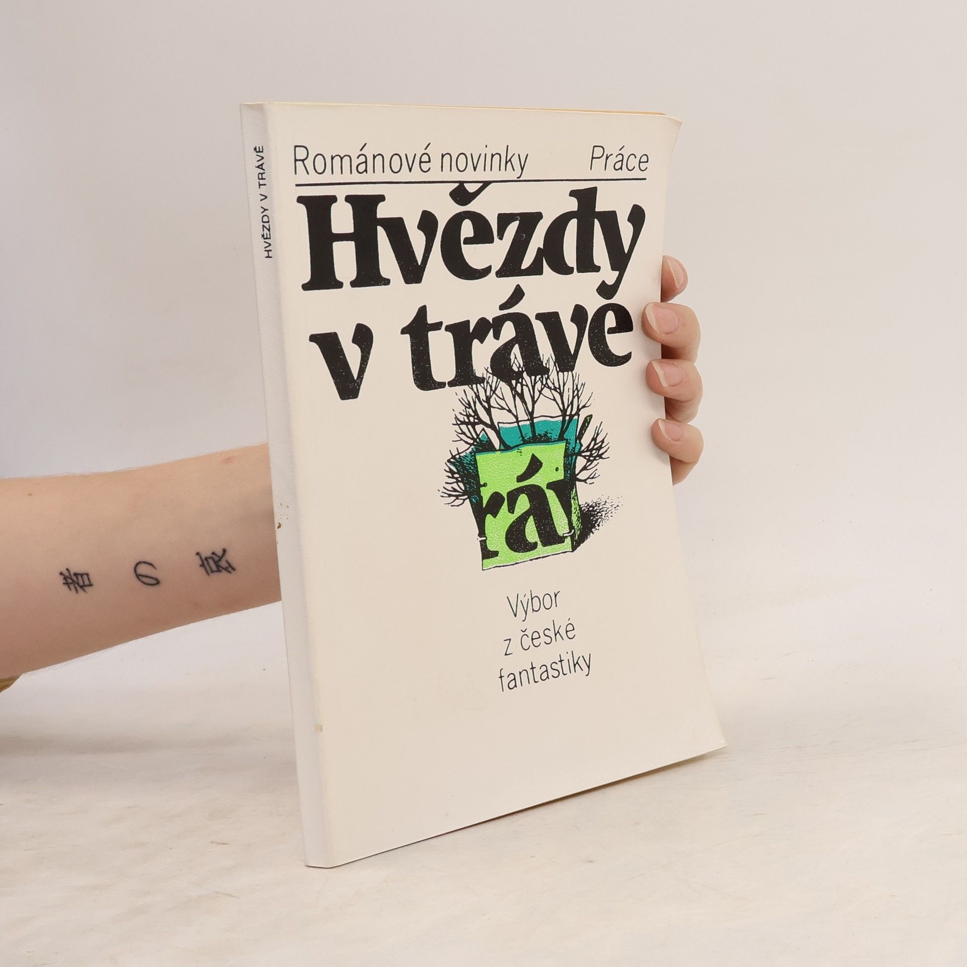 Josef Velčovský Hvězdy v trávě