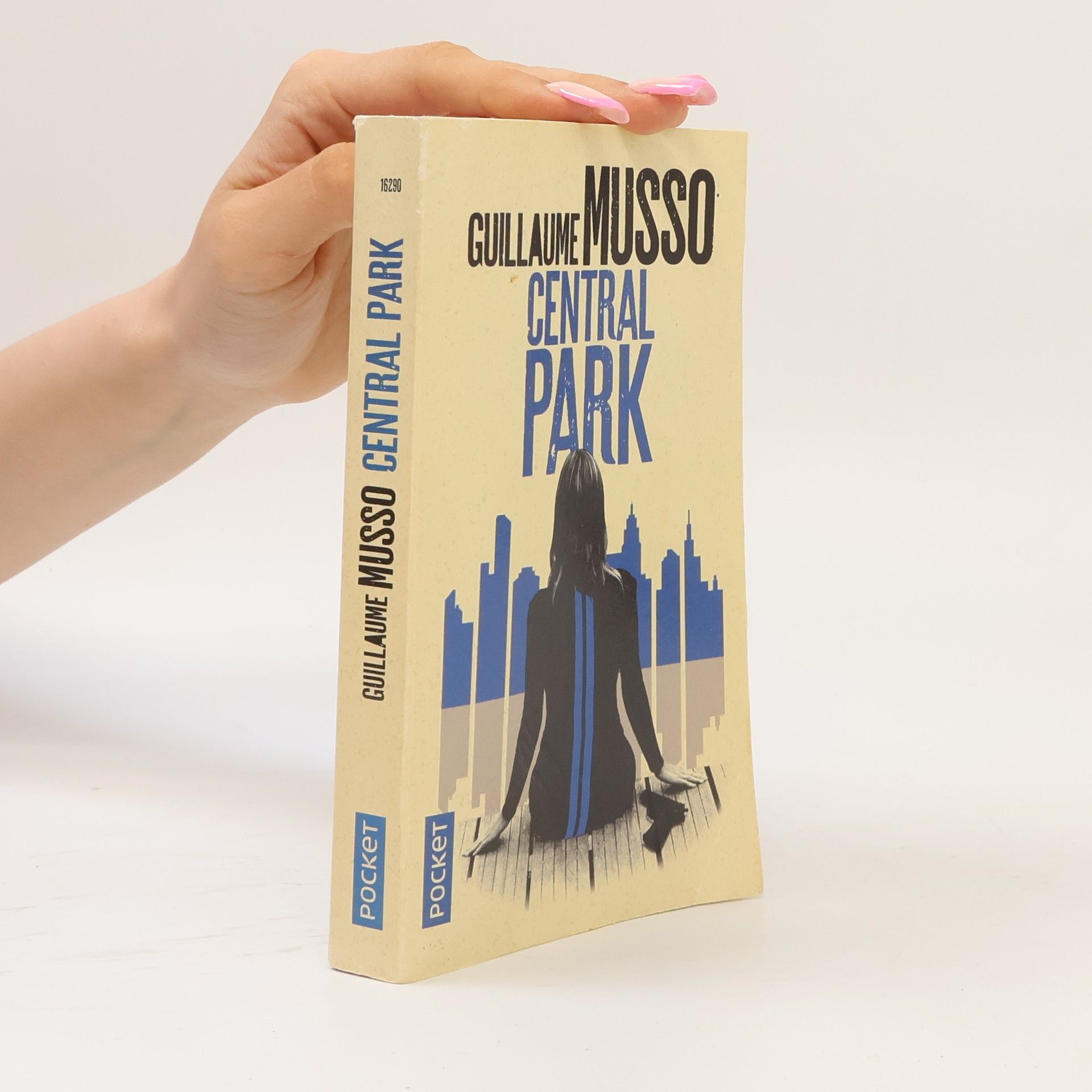Guillaume Musso Central Park