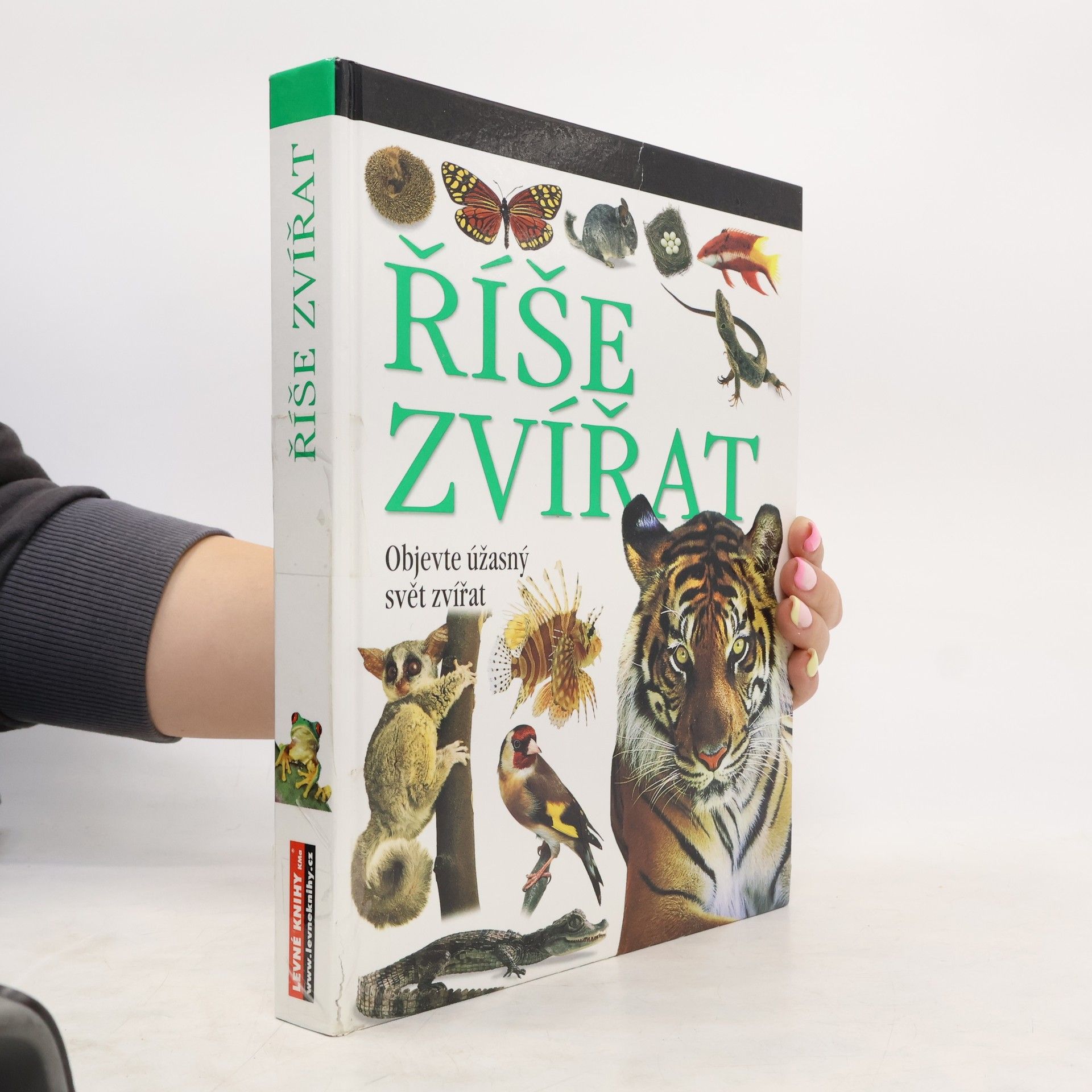 Autorenkollektiv Říše zvířat