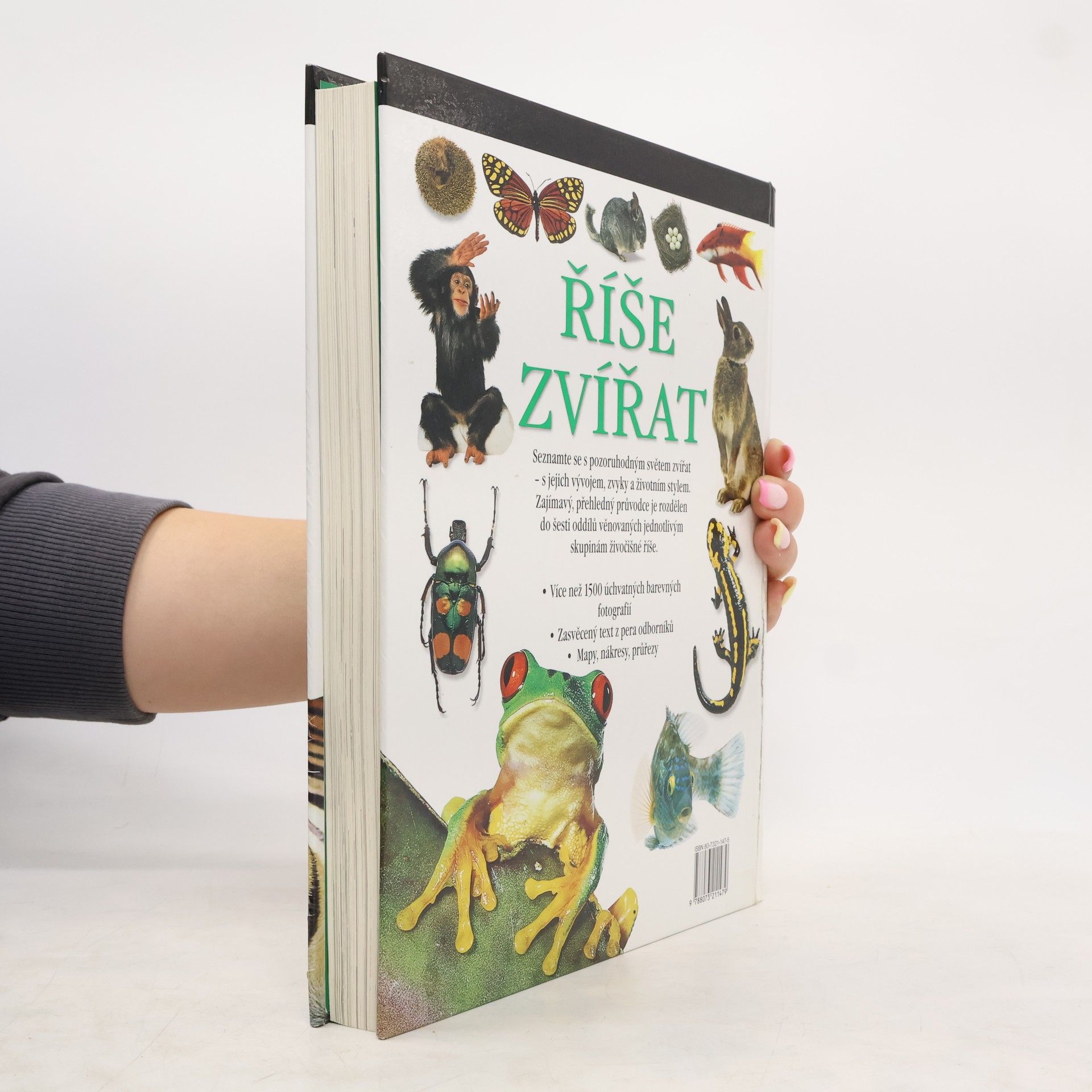 Autorenkollektiv Říše zvířat