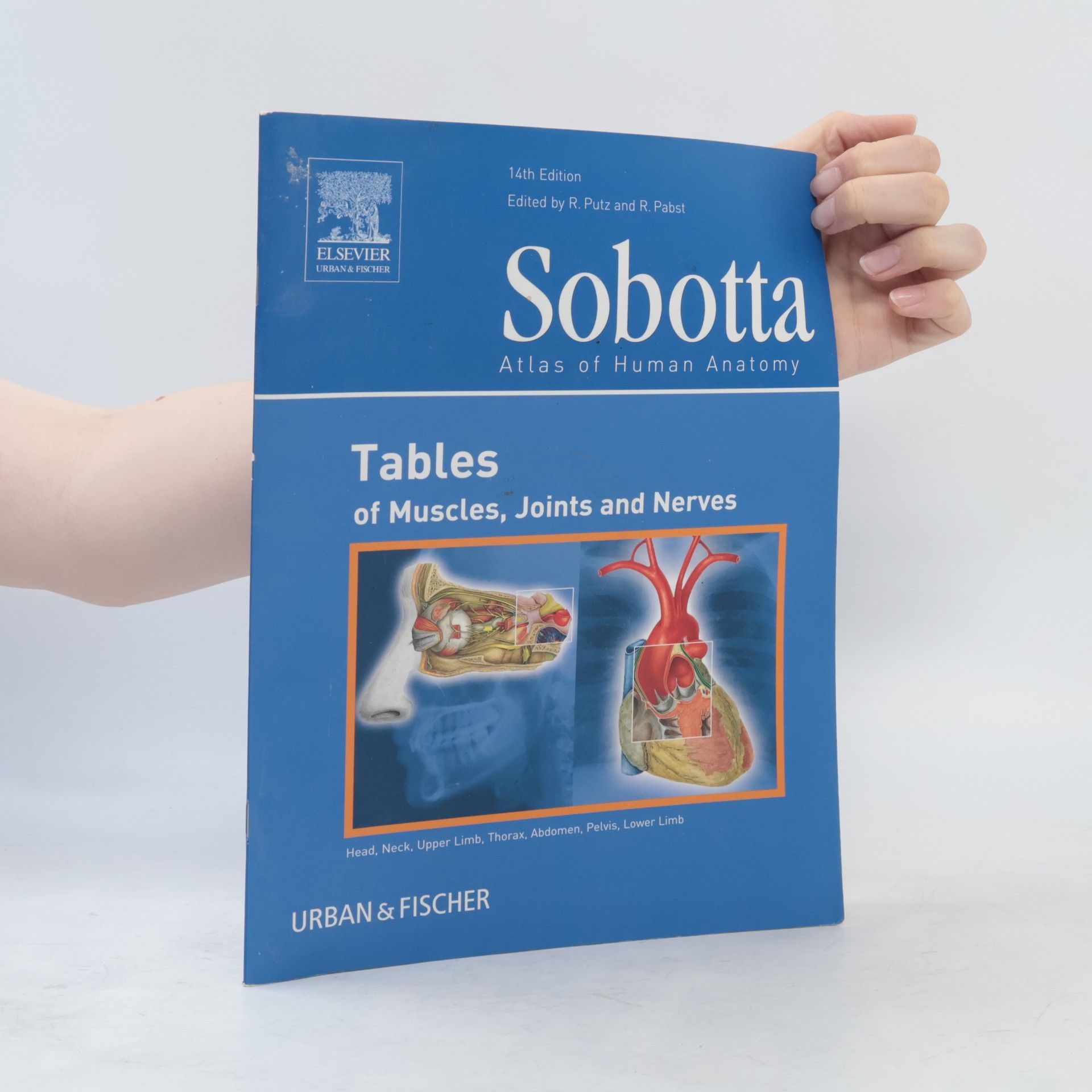 Kolektiv autorů Sobotta
