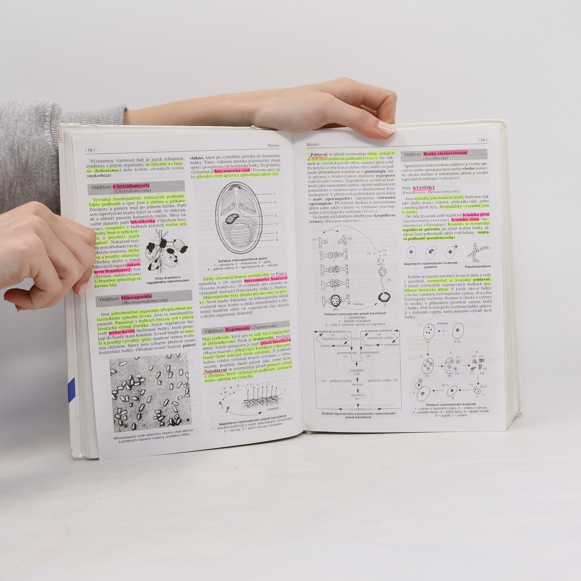 Jan Jelinek Biologie pro gymnázia