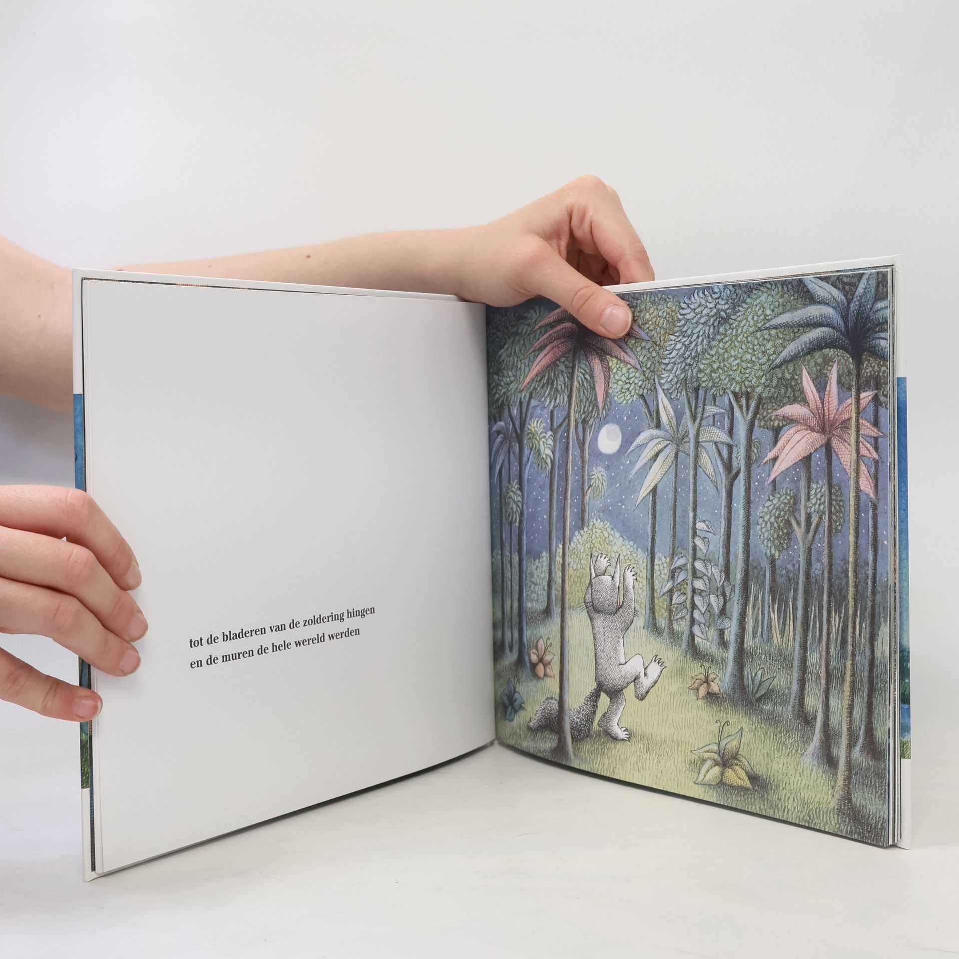 Maurice Sendak Max en de Maximonsters