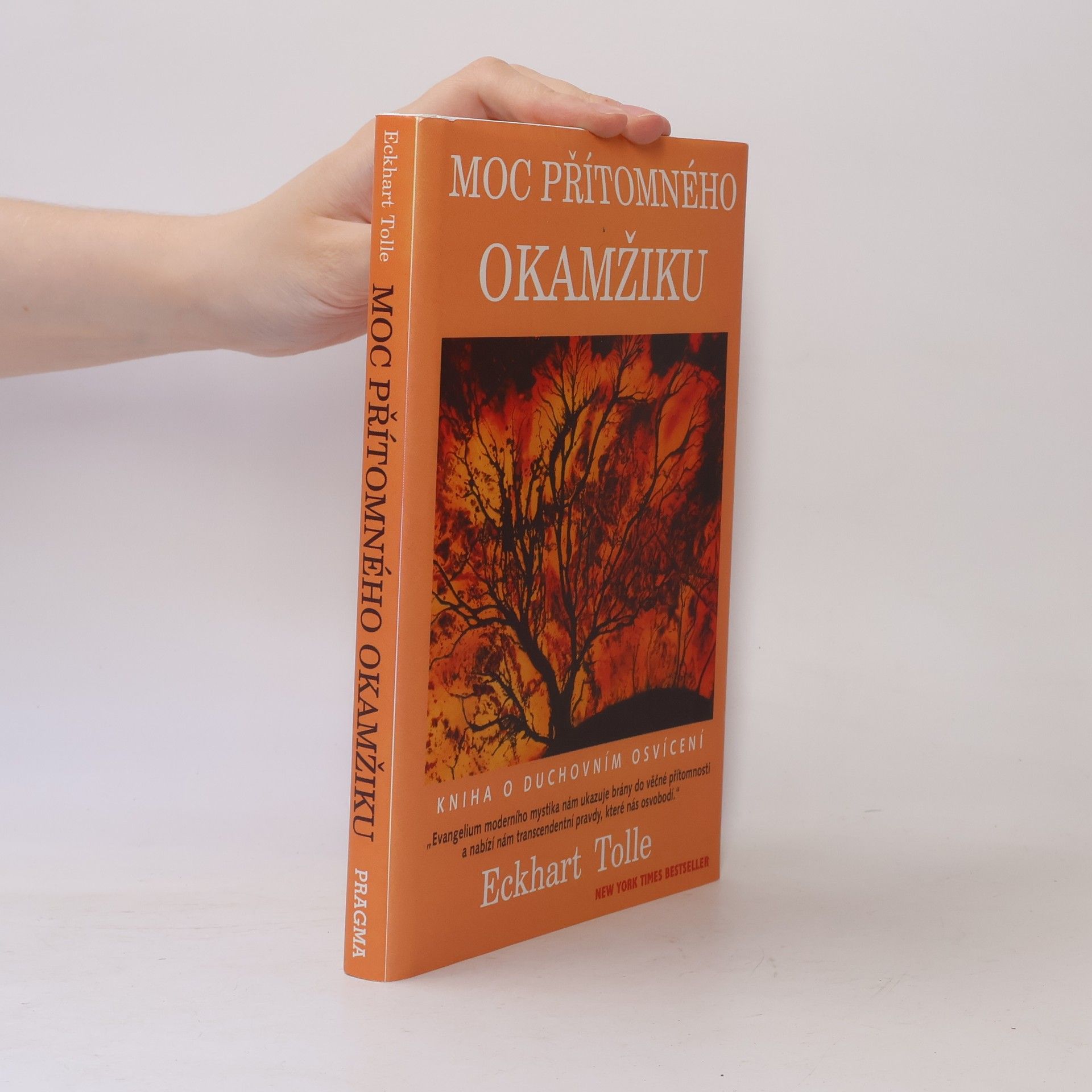 Eckhart Tolle Moc přítomného okamžiku