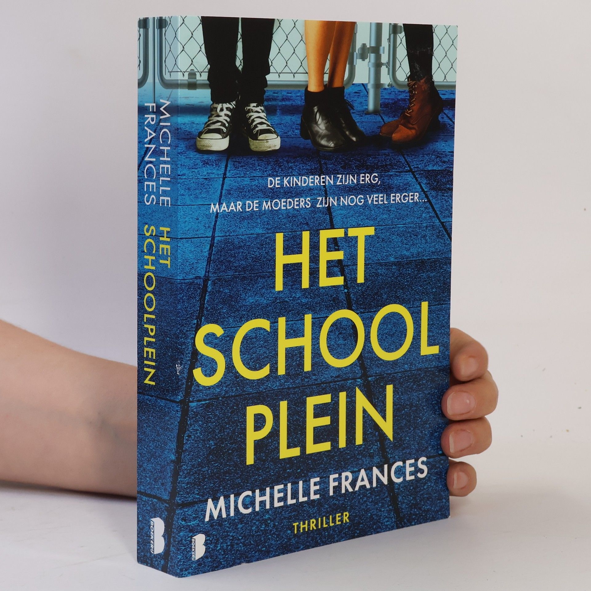 Michelle Frances Het school plein