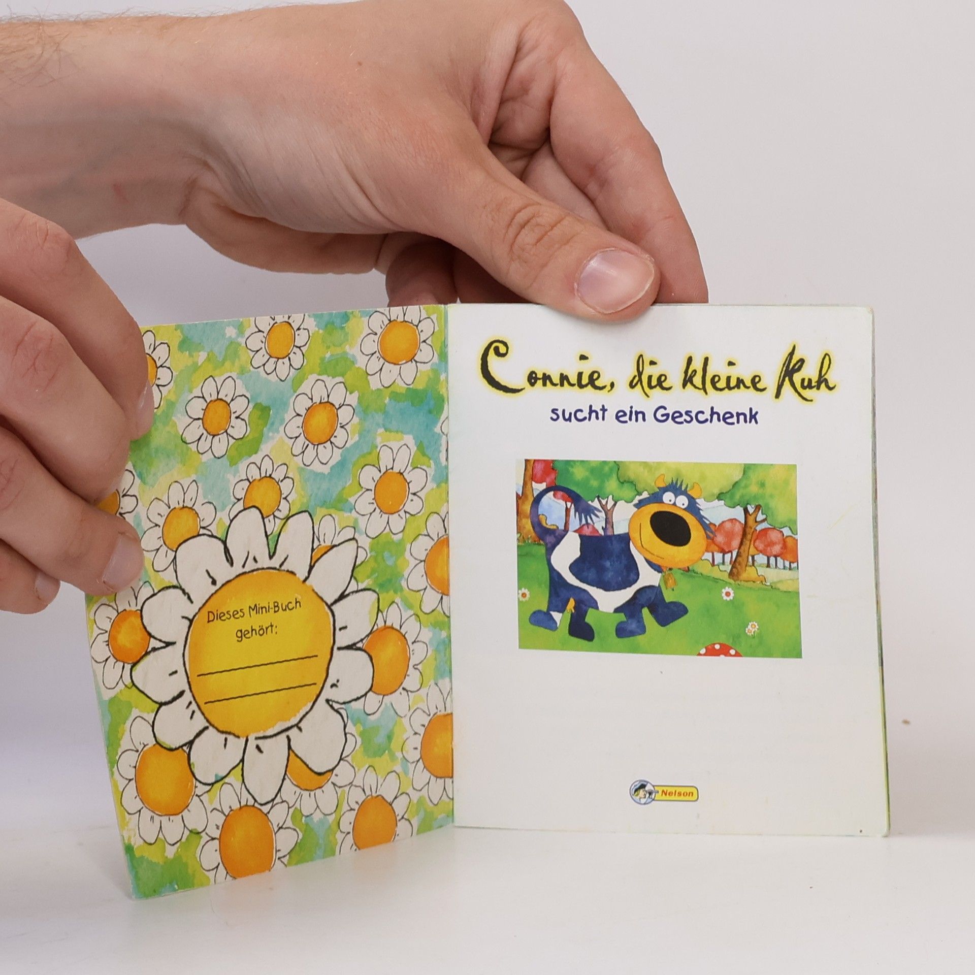 Autorenkollektiv Connie, die kleine Kuh sucht ein Geschenk