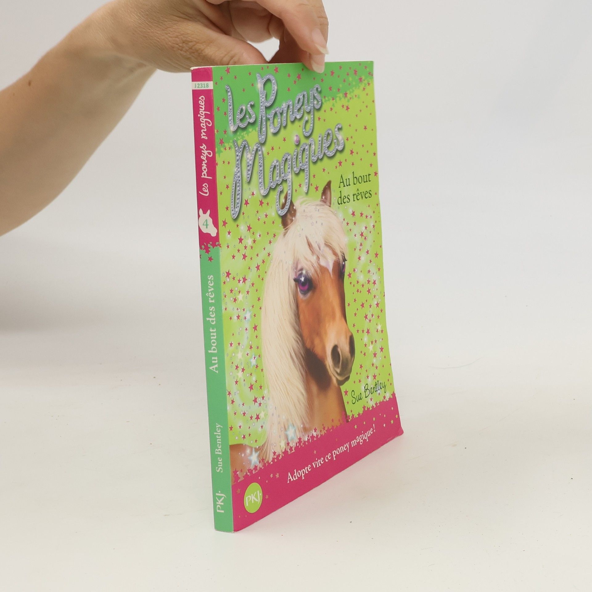 Sue Bentley Les poneys magiques - 4: Au bout des rêves