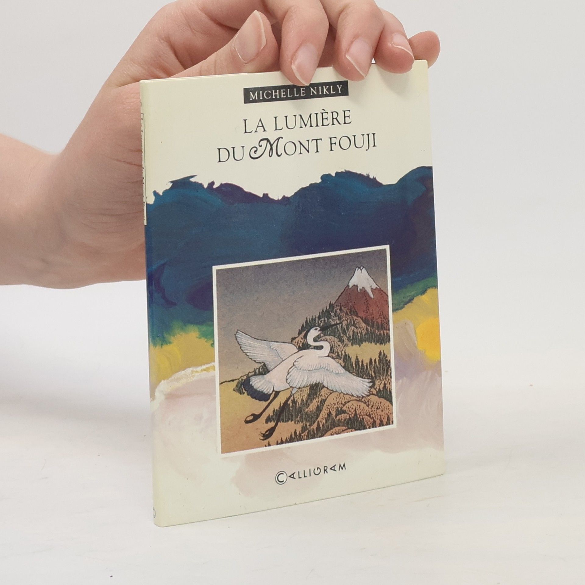 La lumière du Mont Fouji