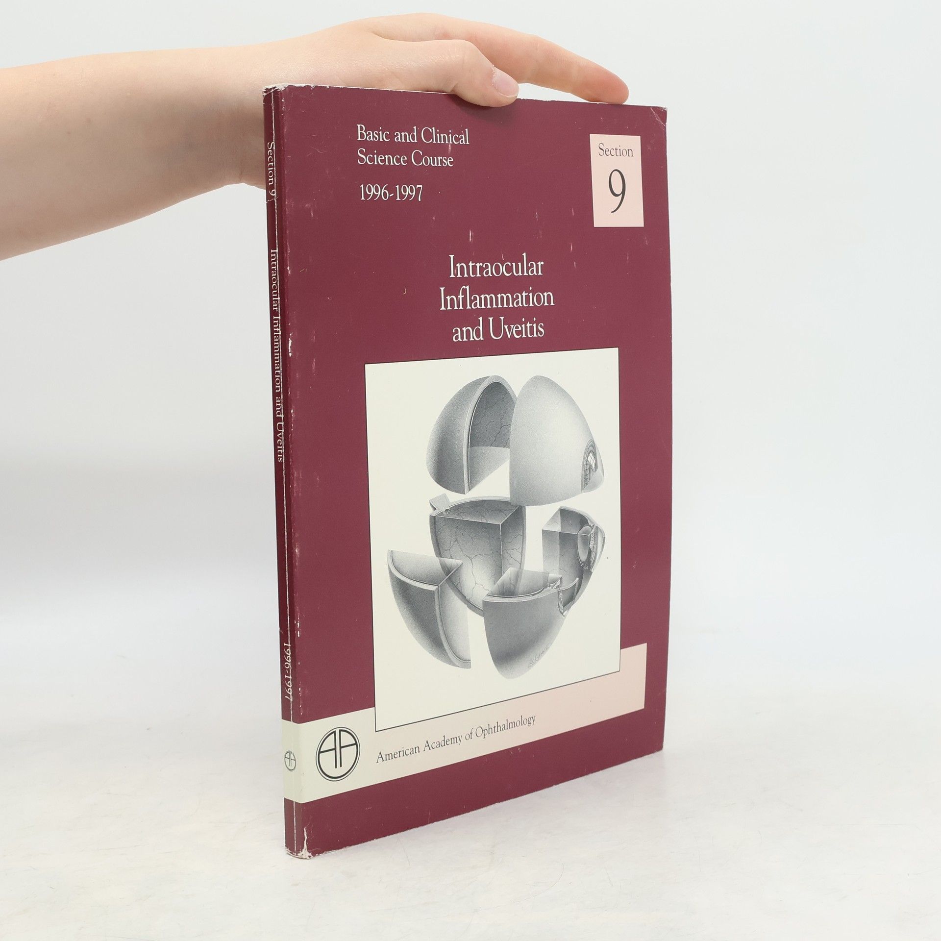 AA.VV. Intraocular inflammation and uveitis 1996-1997