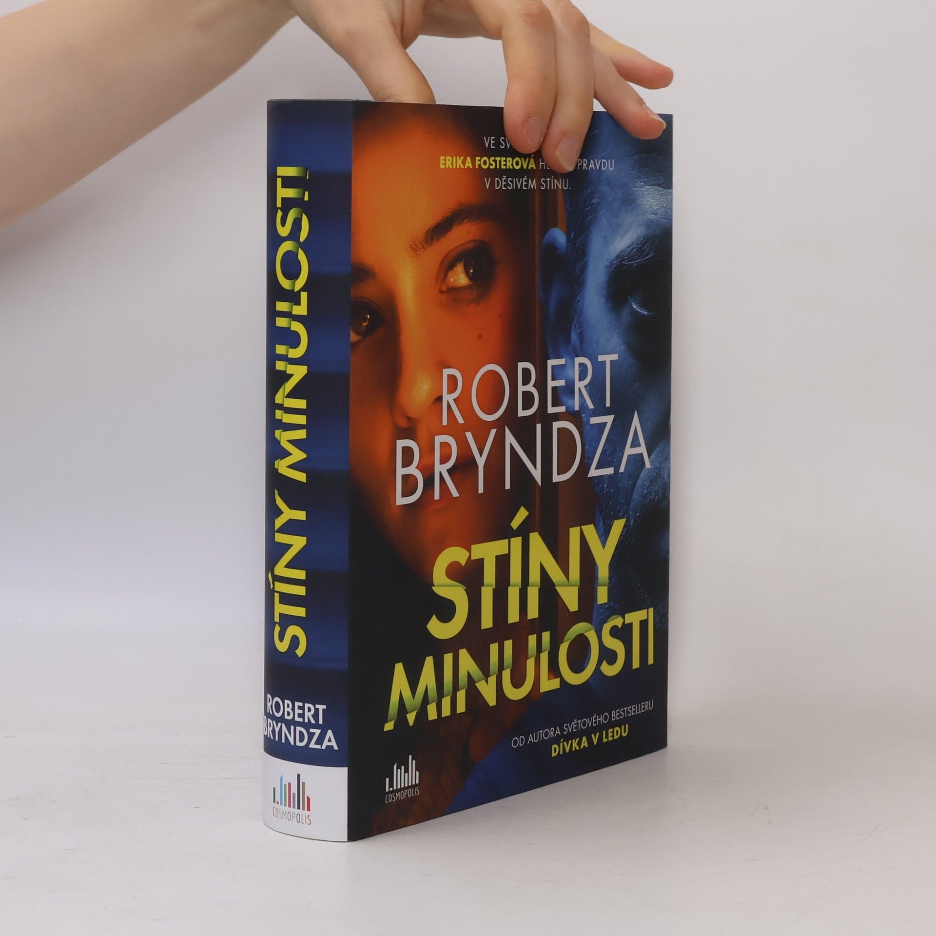 Robert Bryndza Stíny minulosti