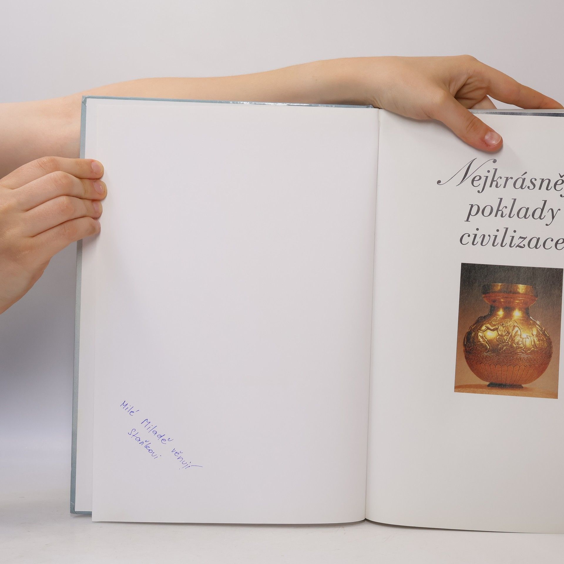 Nance Lui Fyson Nejkrásnější poklady civilizace