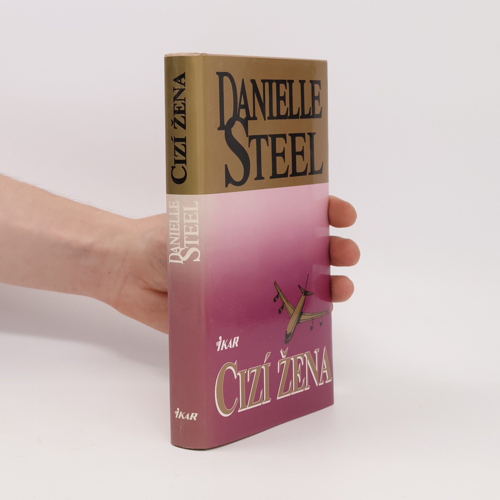 Danielle Steel Cizí žena