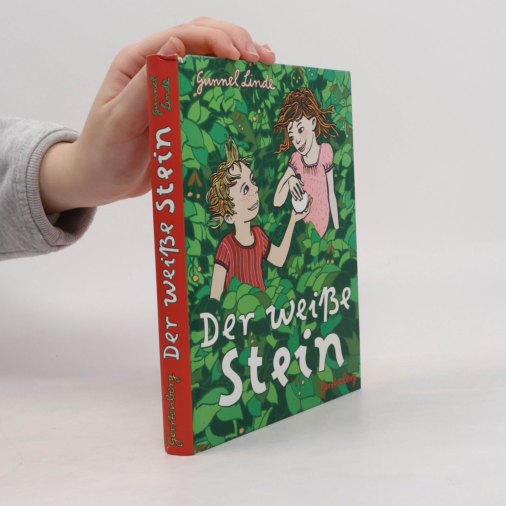 Gunnel Linde Der weiße Stein