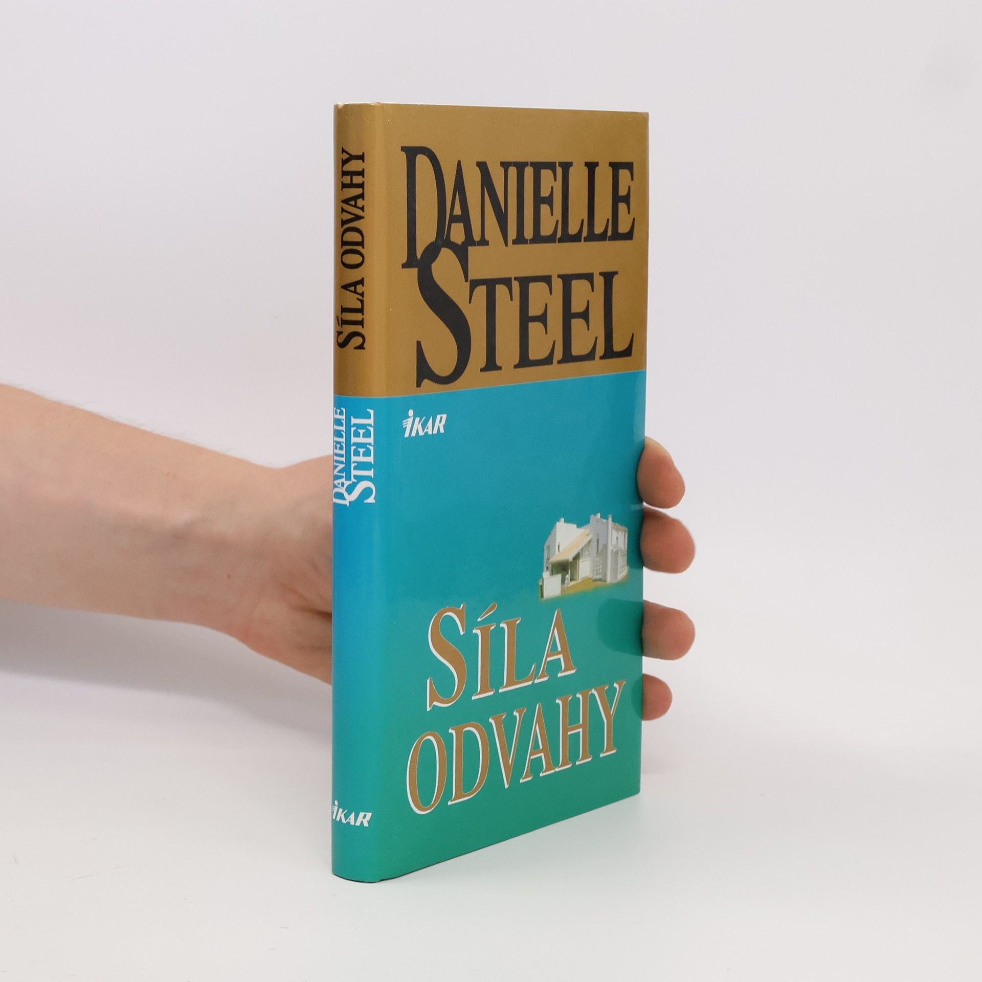 Danielle Steel Síla odvahy