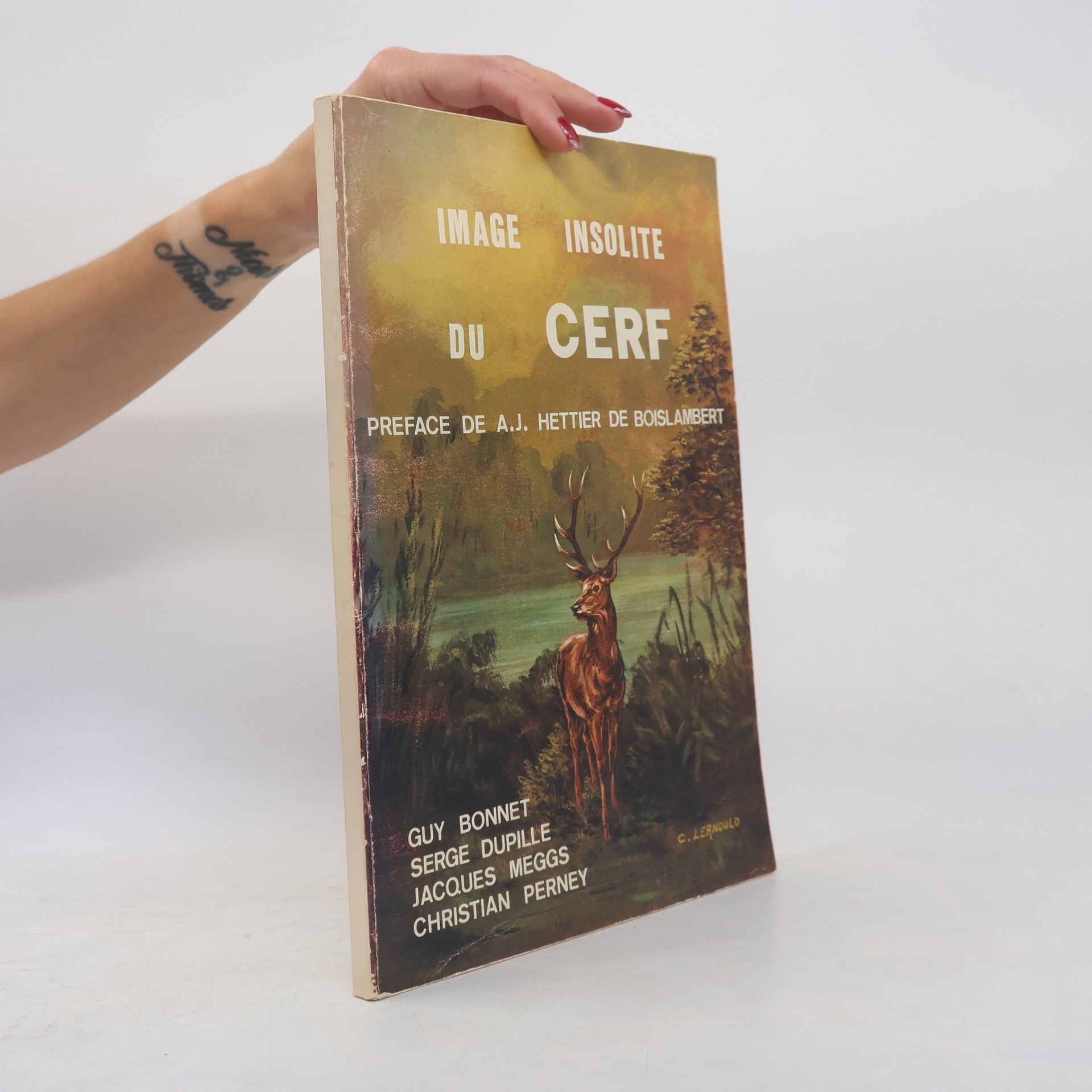 Autorenkollektiv Image Insolite du Cerf