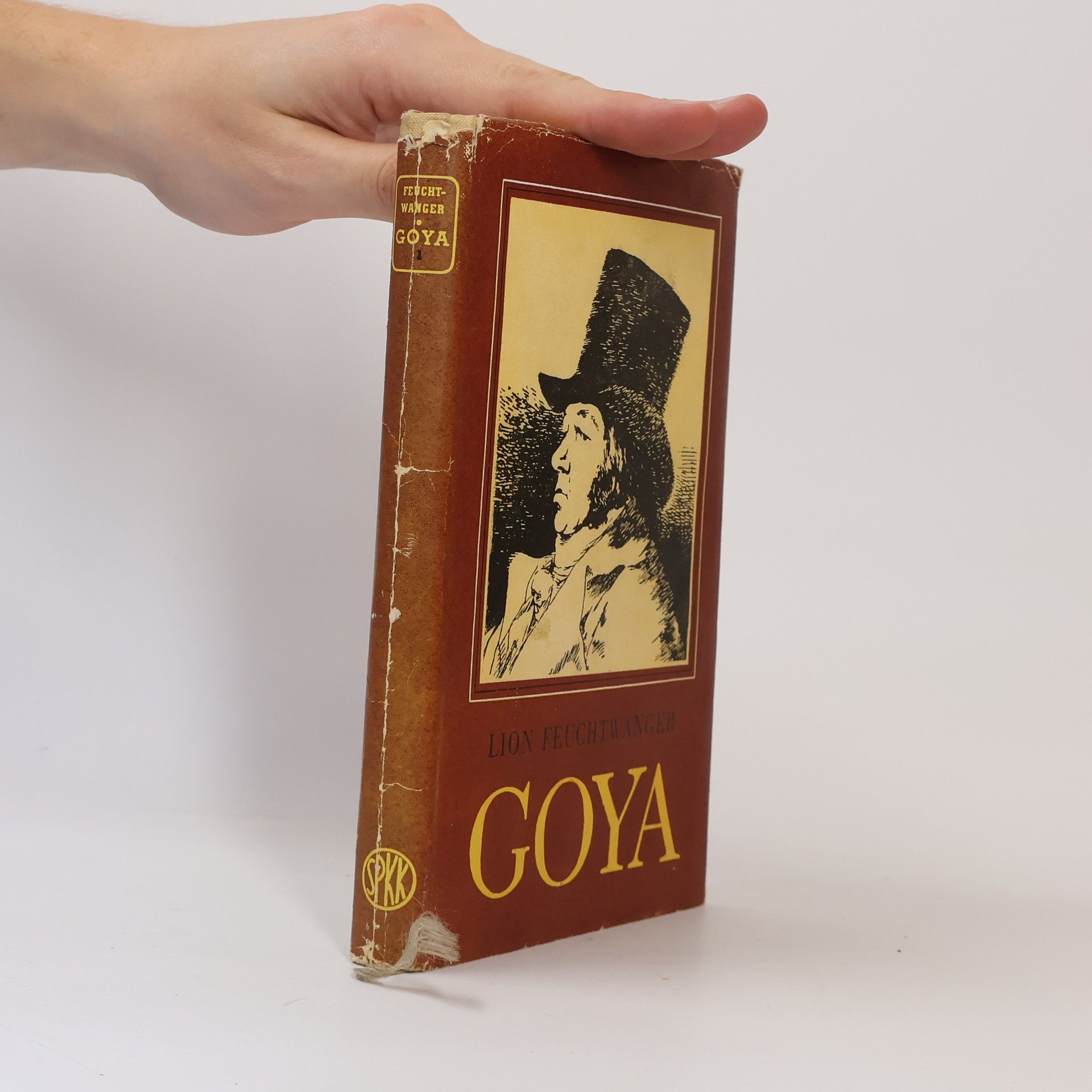 Lion Feuchtwanger Goya 1
