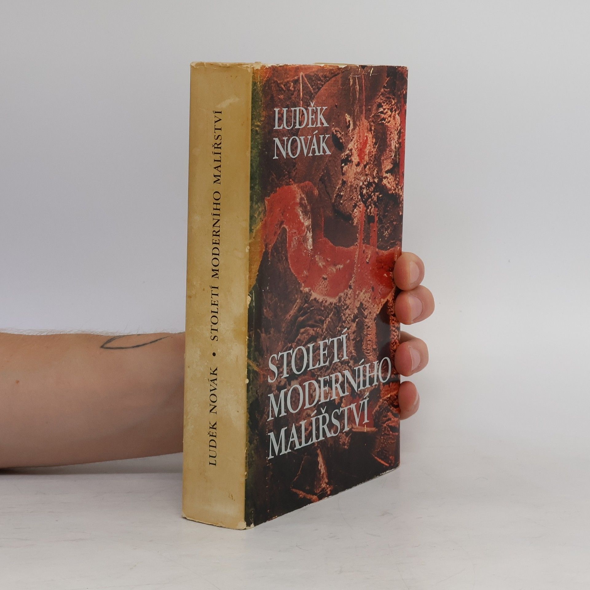 Století moderního malířství 1865-1965