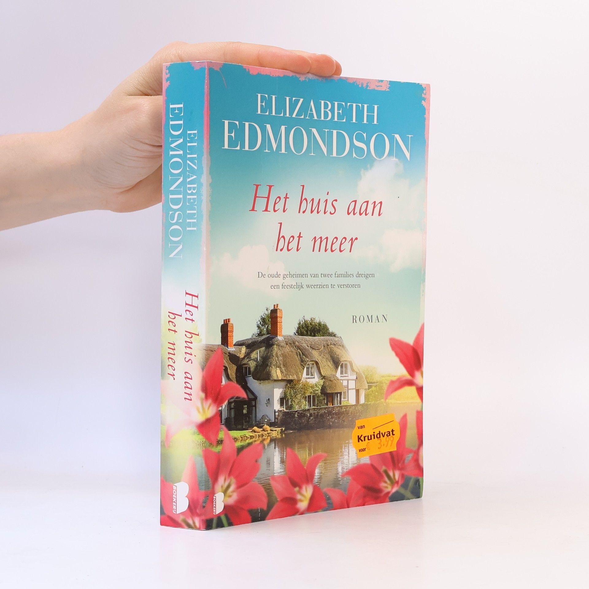 Elizabeth Aston Het huis aan het meer