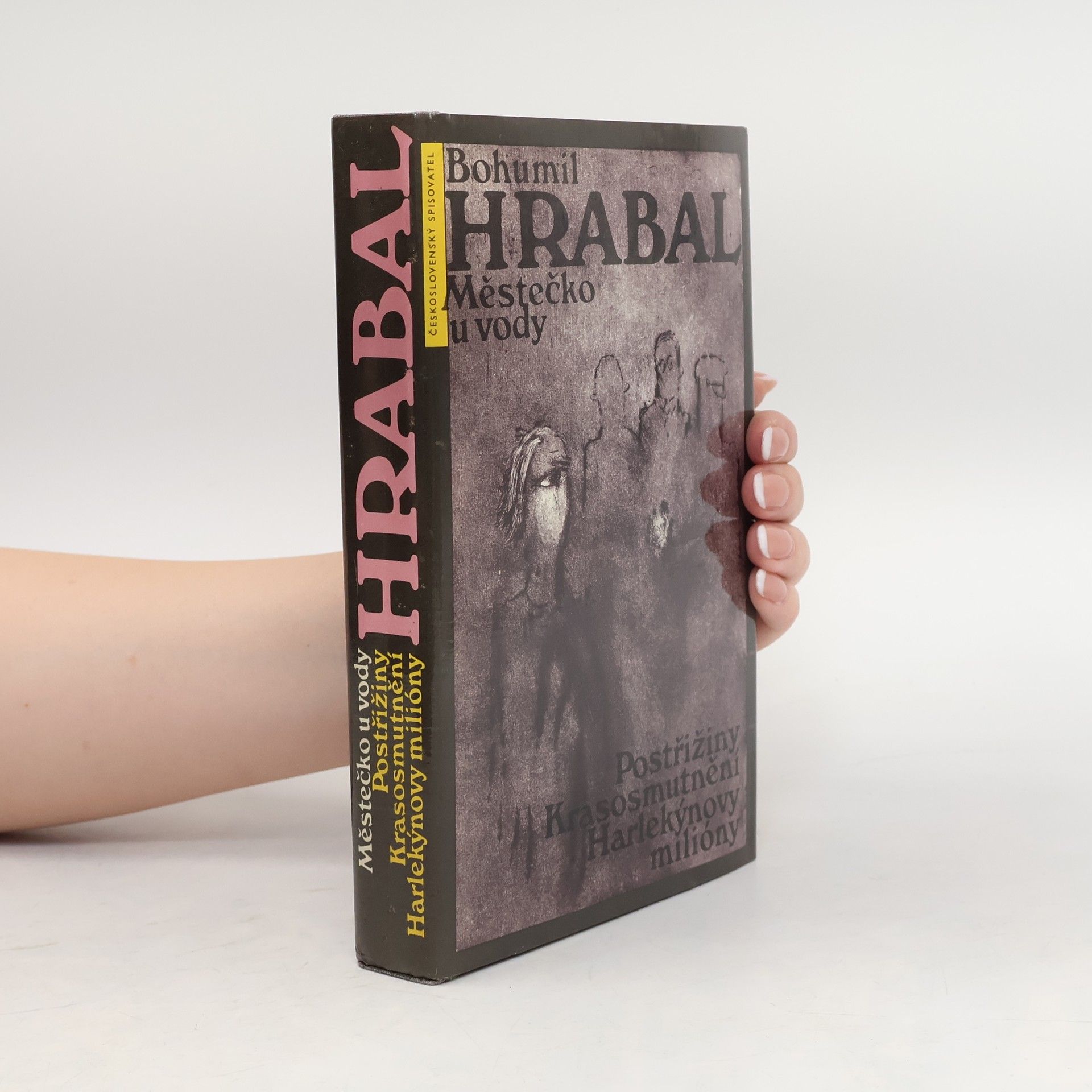Bohumil Hrabal Městečko u vody