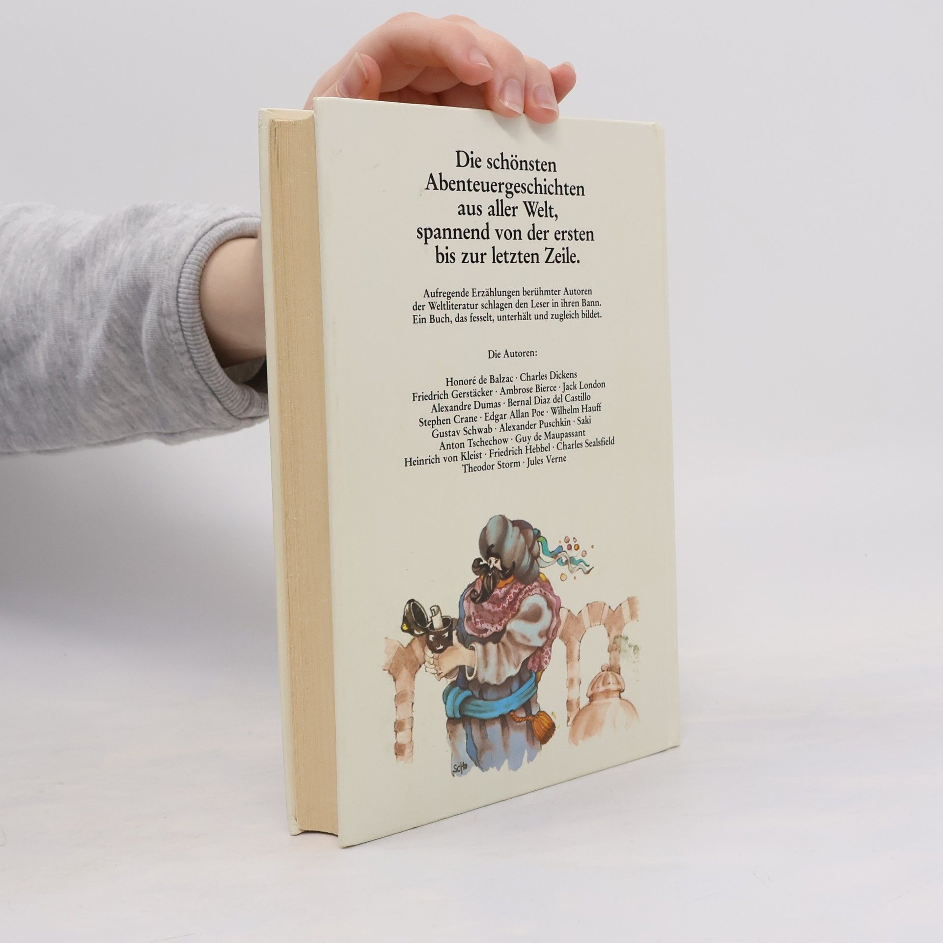 Various authors Meine schönsten Abenteuergeschichten