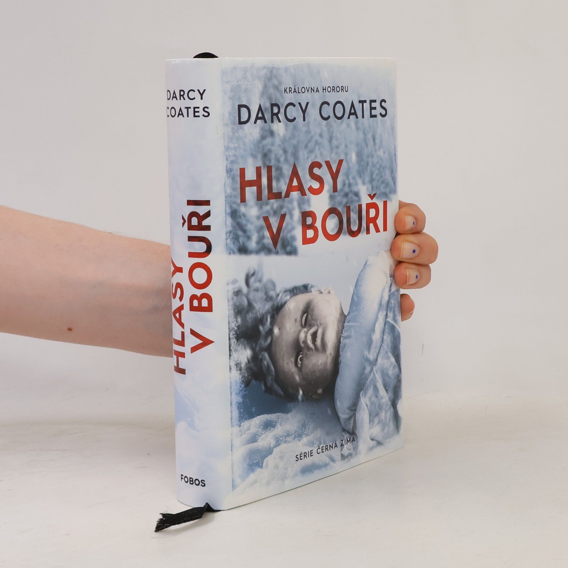 Darcy Coates Hlasy v bouři