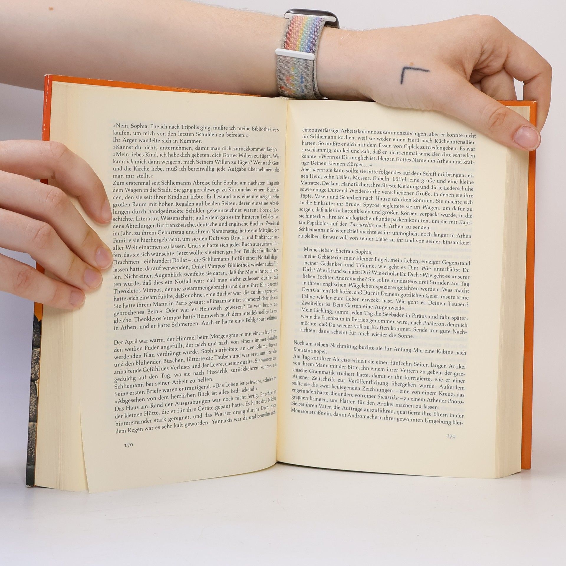 Irving Stone Der griechische Schatz