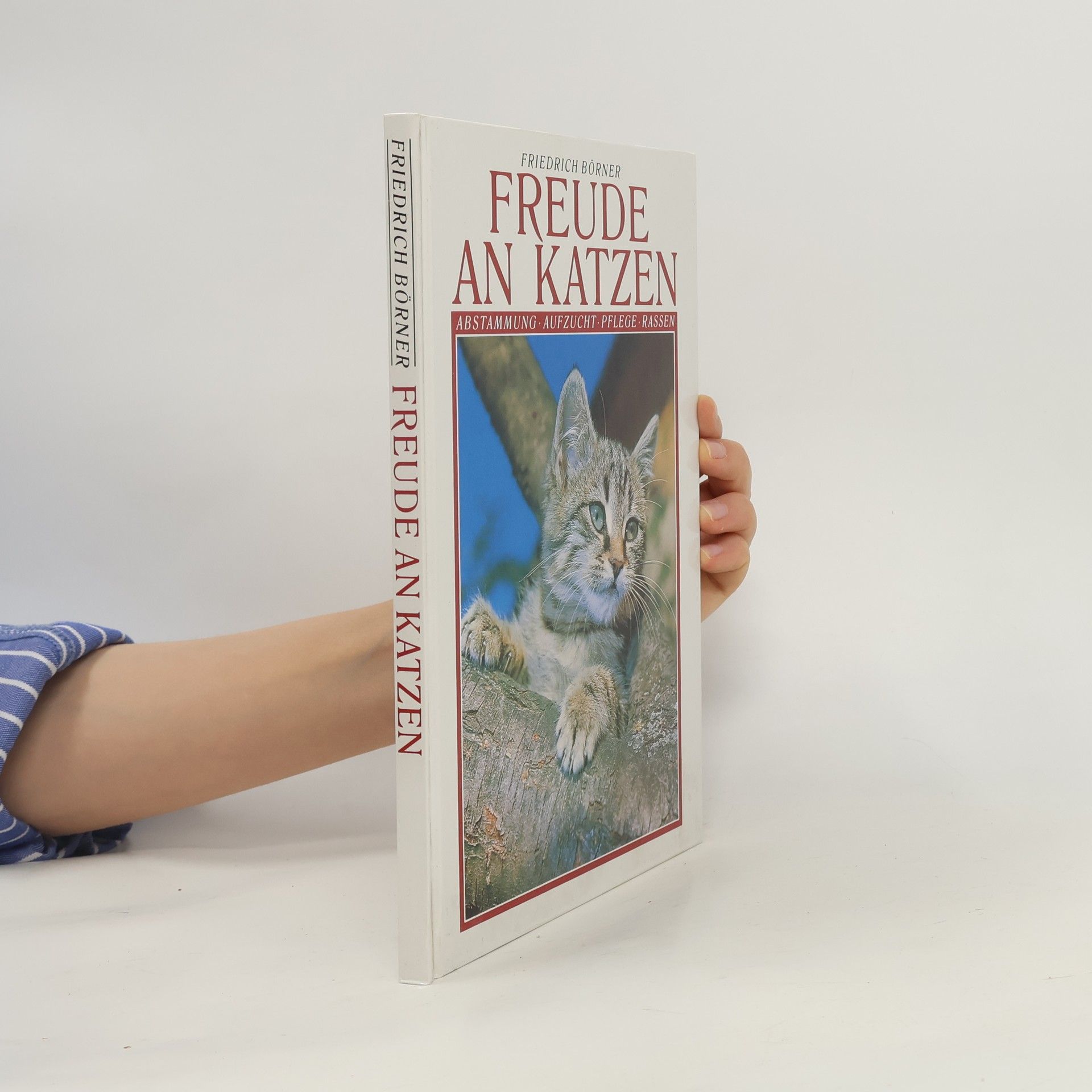 Friedrich Börner Freude an Katzen
