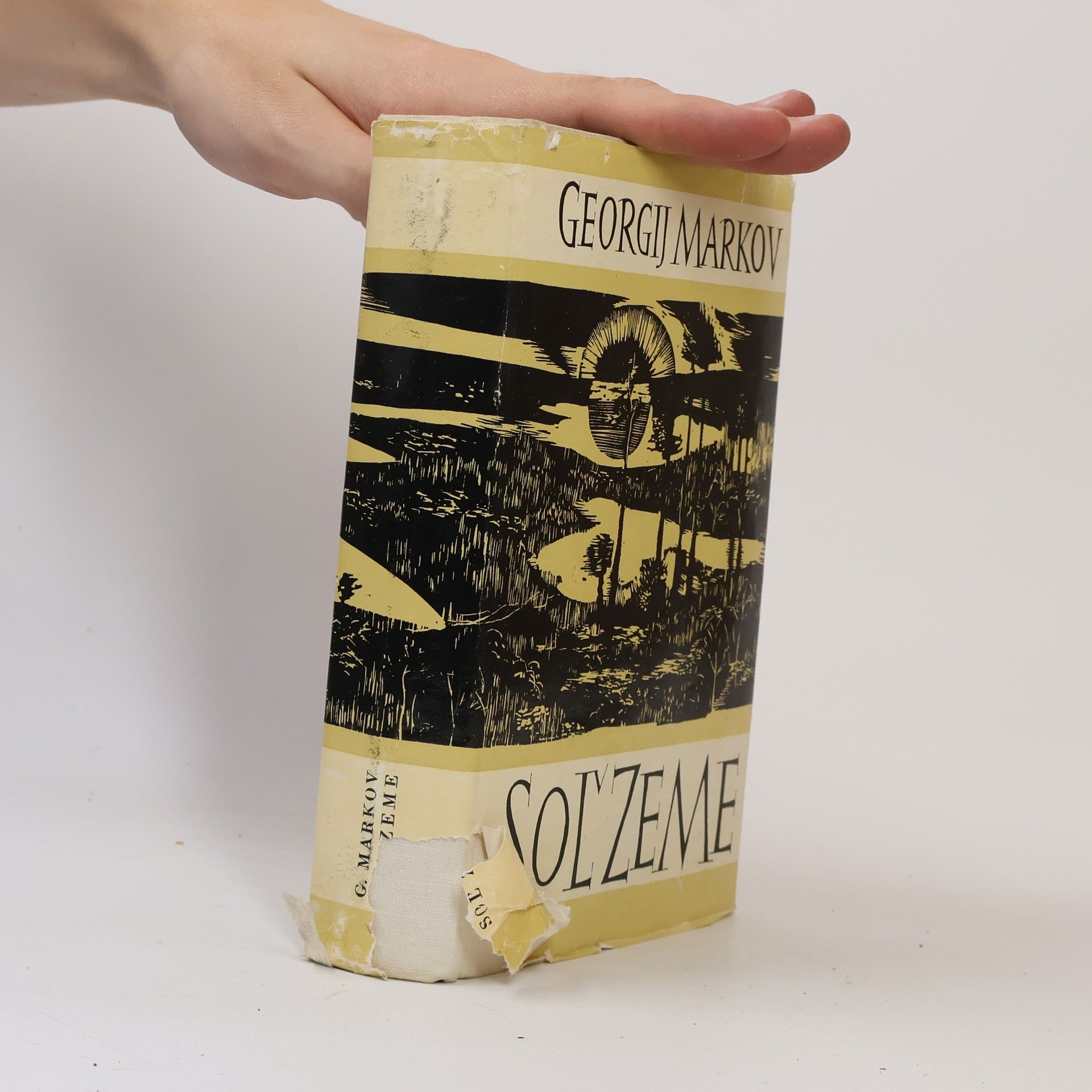 Georgij Mokejevič Markov Soľ zeme