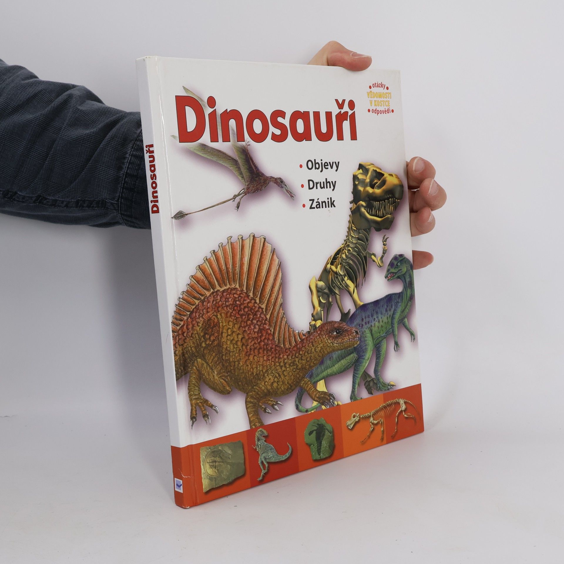 Autorenkollektiv Dinosauři : objevy, druhy, zánik