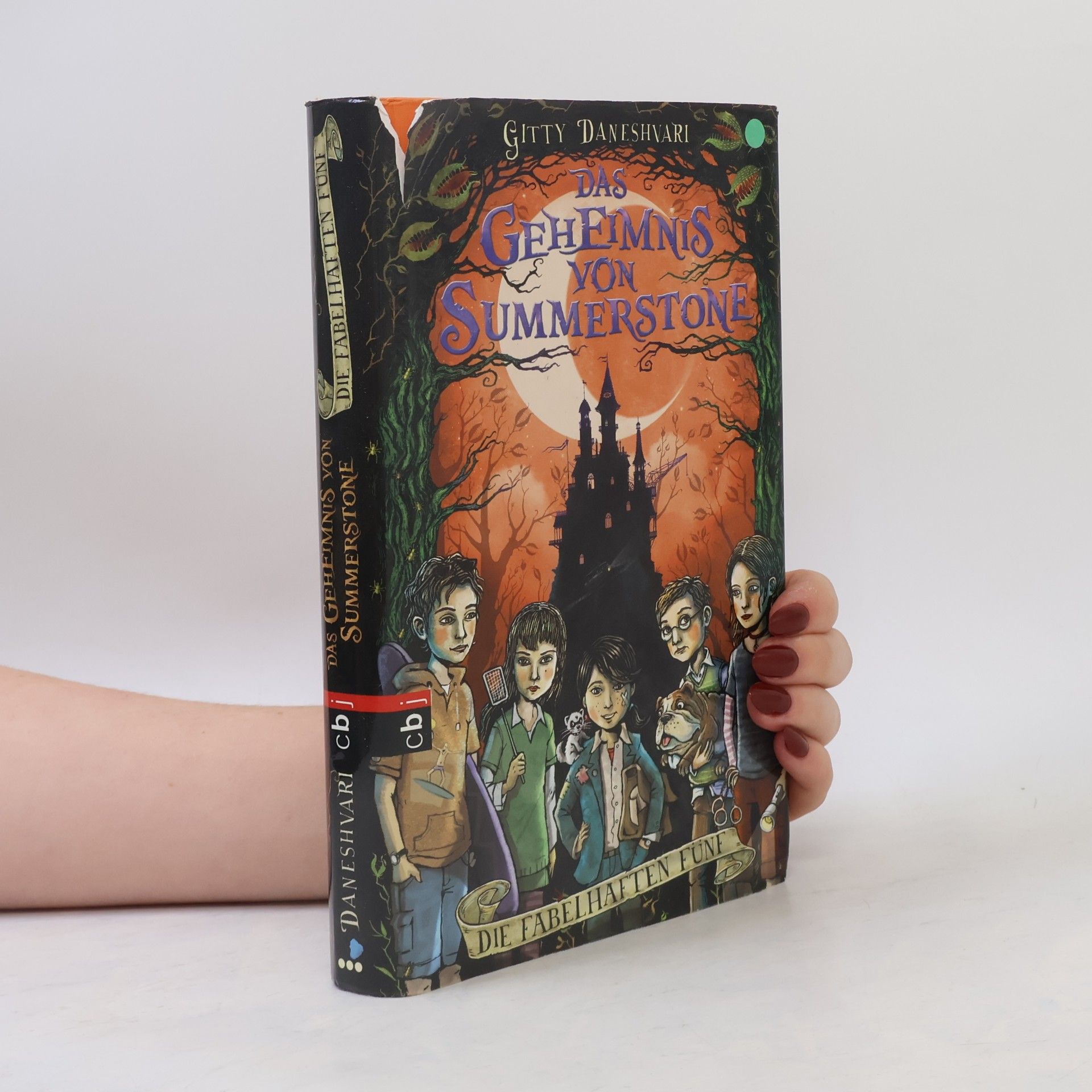 Gitty Daneshvari Das Geheimnis von Summerstone